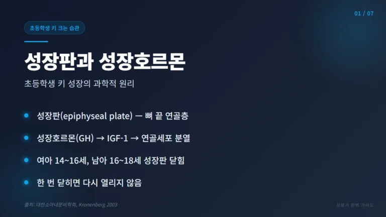 초등학생 키 크는 습관 7가지 — 성장기 수면·영양·운동·성장판 총정리