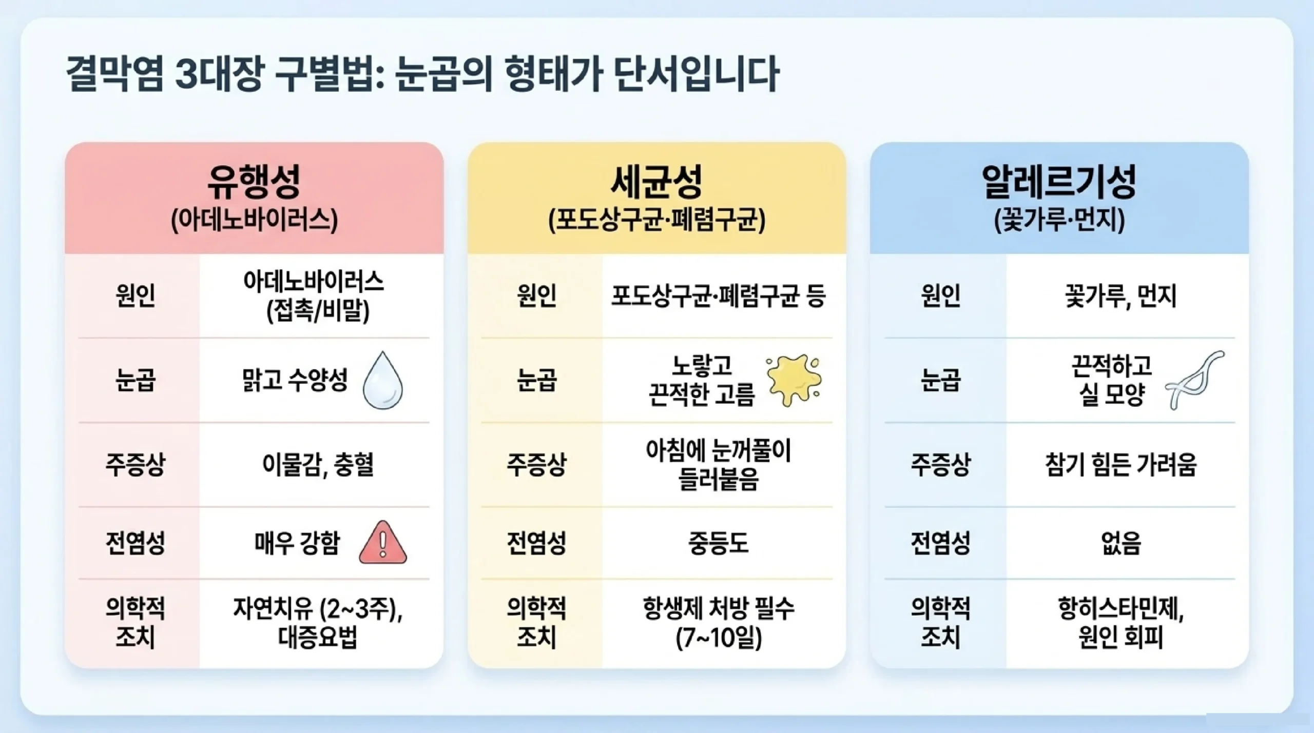 봄철 결막염 급증 이유 — 황사·꽃가루·신학기 집단 생활·일교차