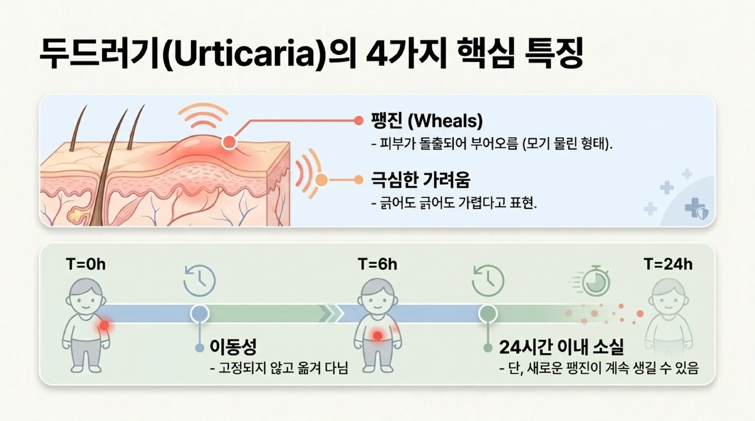 두드러기 응급 처치 4단계 — 원인 제거, 냉찜질, 항히스타민제, 기록하기