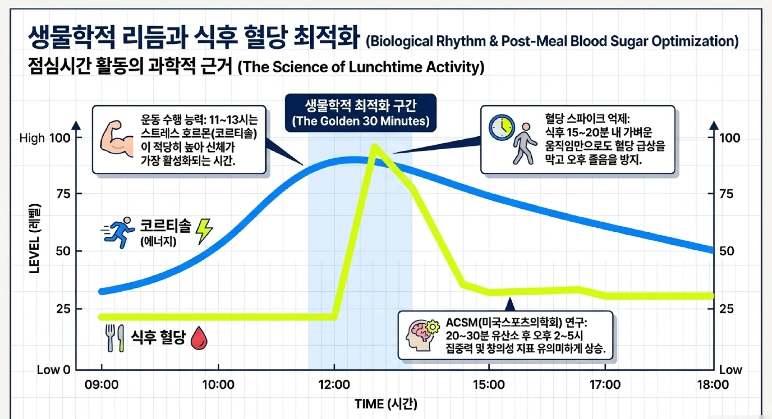 직장인 점심 30분 운동 구성 원칙 — 이동5분·워밍업3분·본운동20분·쿨다운5분