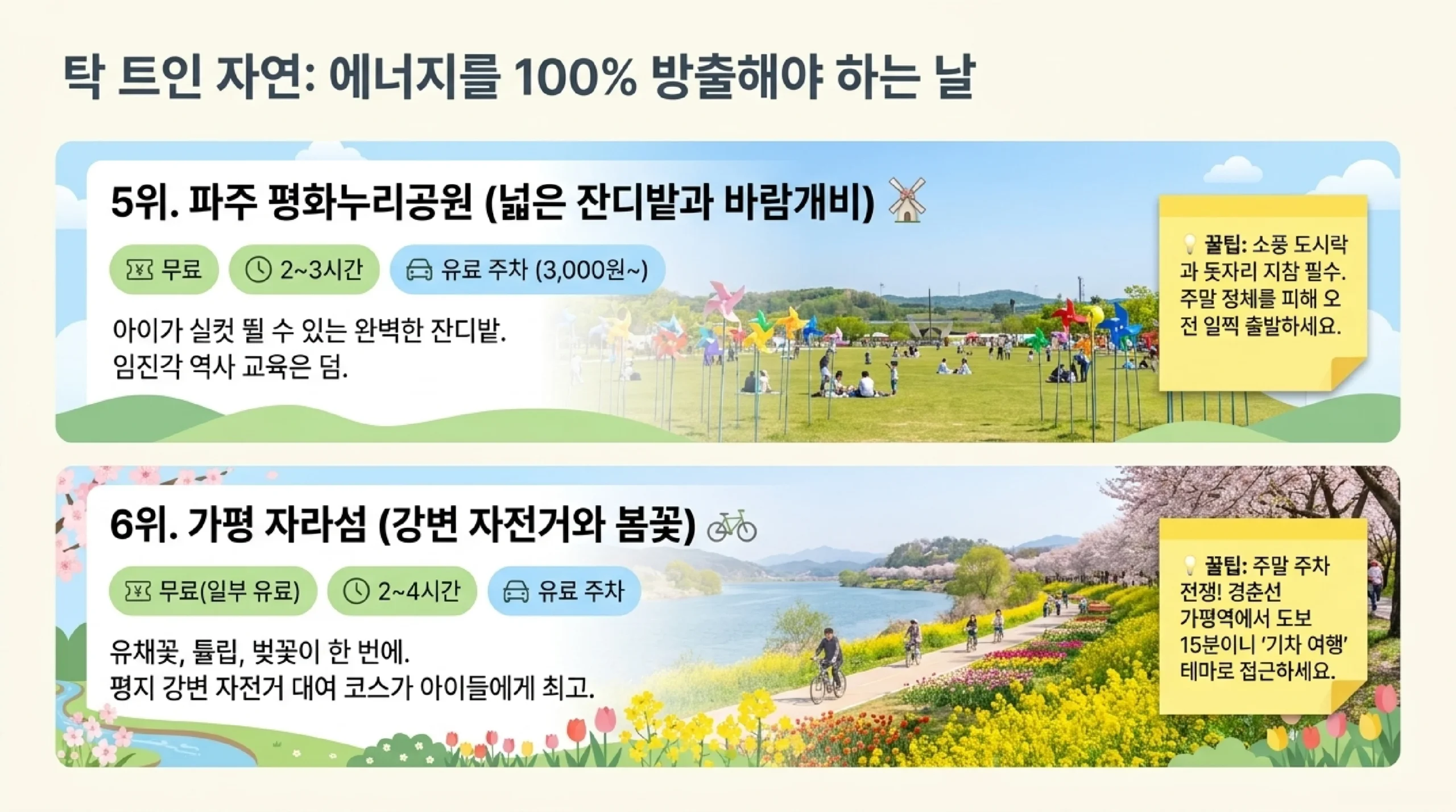 가평 자라섬 봄꽃 축제 — 유채꽃·튤립·벚꽃, 강변 자전거 코스