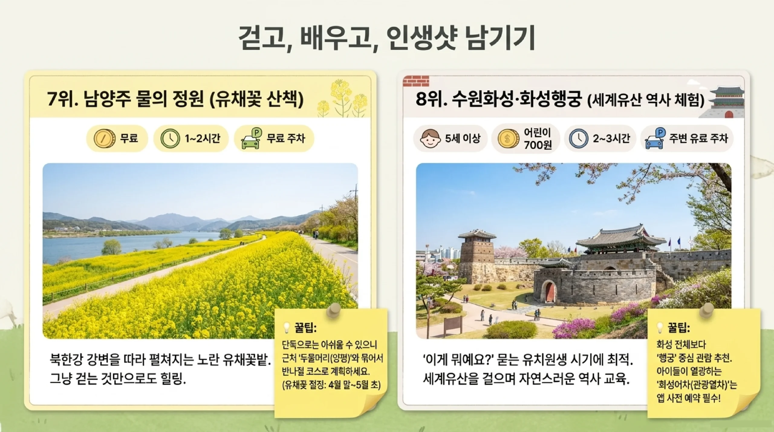 남양주 물의 정원 — 북한강 유채꽃밭, 무료 주차, 두물머리 연계 코스