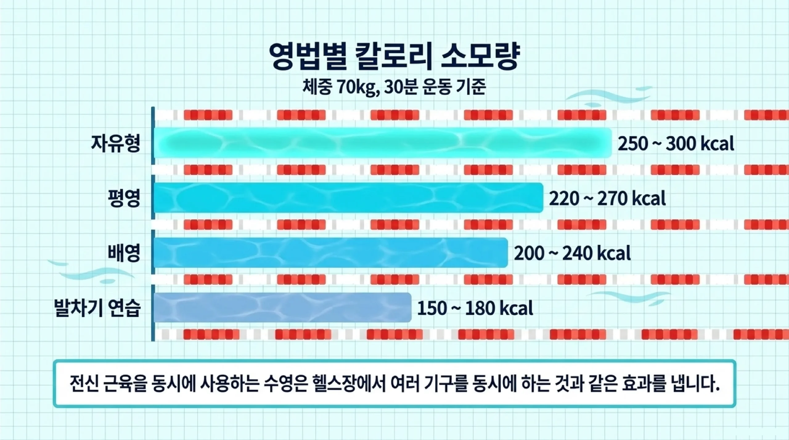 수영장 레인 에티켓 완벽 가이드 — 레인 선택·추월 규칙·주의사항