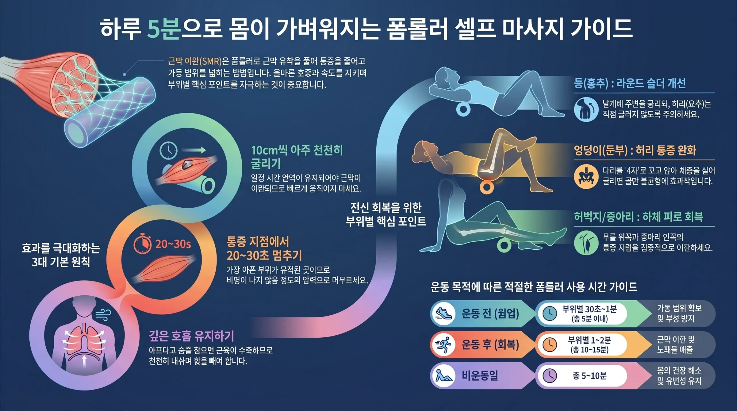 폼롤러 셀프 마사지 인포그래픽 — 근막이완 원리·기본 원칙·부위별 사용법·운동 전후 타이밍 한눈에 정리