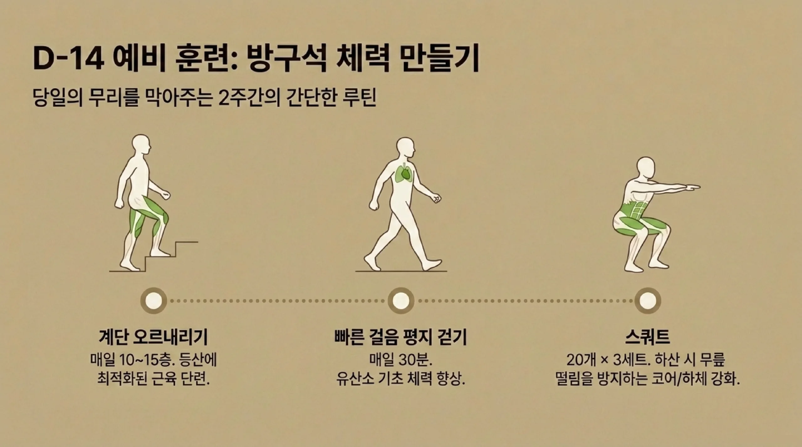 D-14 예비 훈련: 방구석 체력 만들기 — 계단 오르내리기·빠른 걷기·스쿼트 2주 루틴