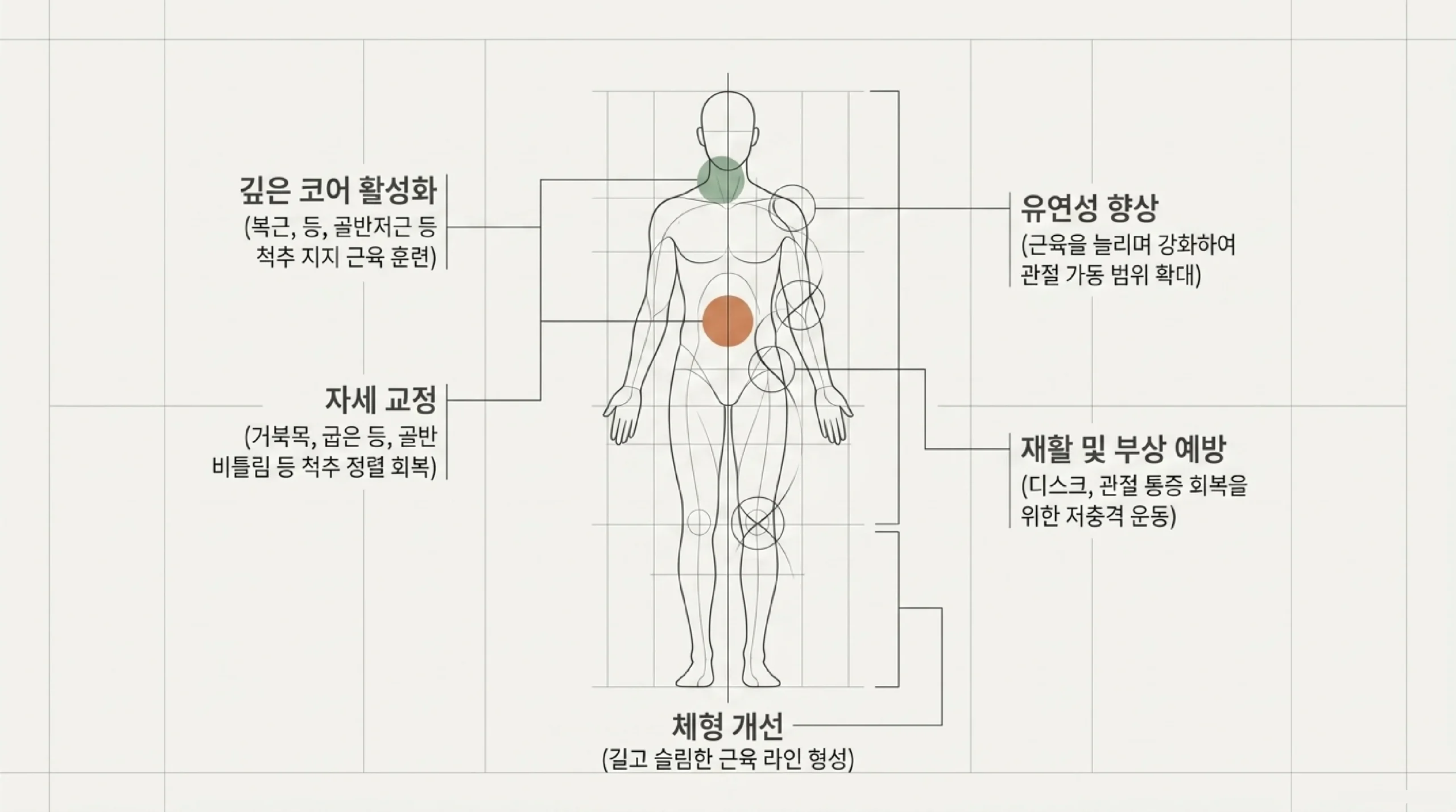 필라테스 효과 — 코어 강화·자세 교정·유연성·재활·체형 개선 5가지