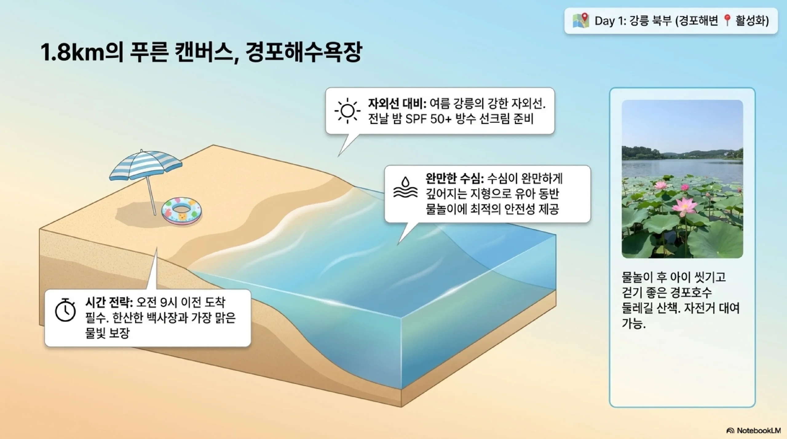 강릉 안목해변 카페거리 — 동해 바다 뷰 카페와 아이스크림