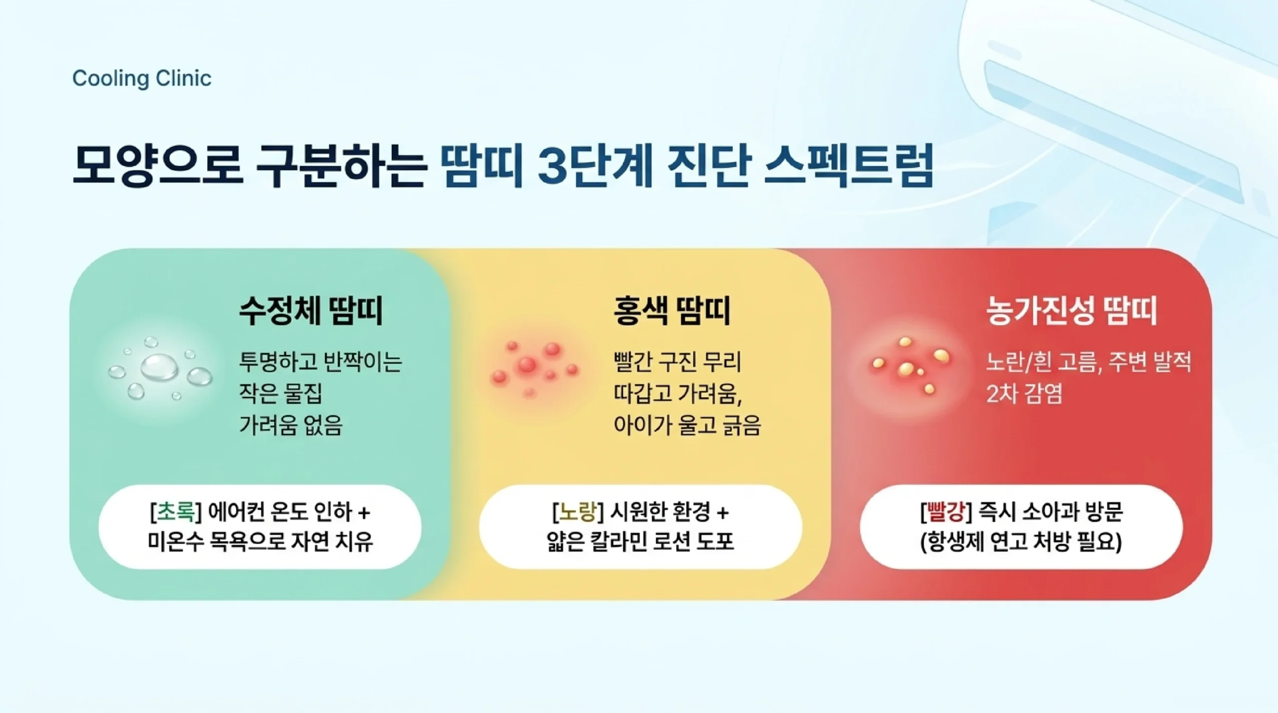 여름 피부 발진 5종류 비교표 — 열성 발진·접촉성·기저귀 발진 원인과 대처