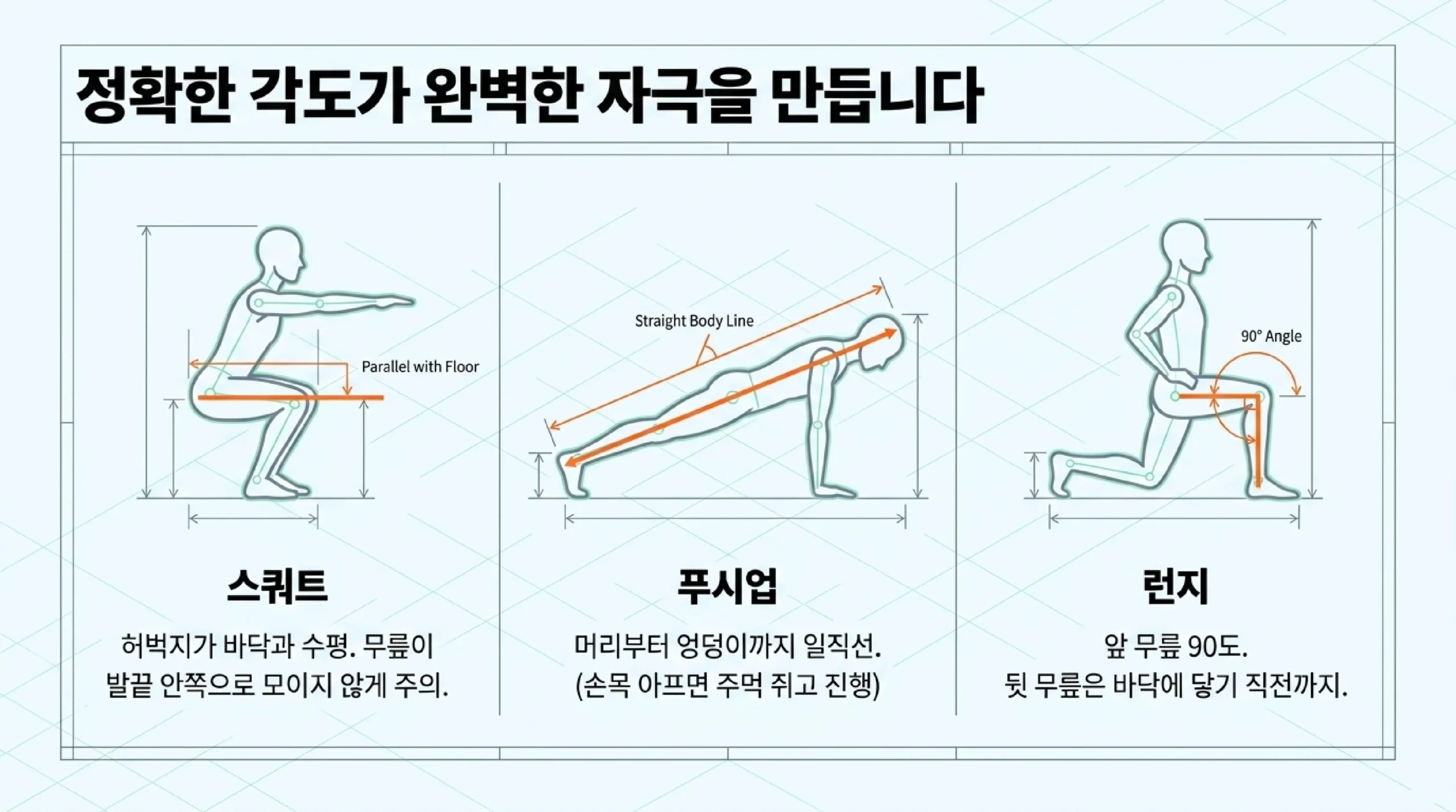 정확한 각도가 완벽한 자극을 만든다 — 스쿼트·푸시업·런지 올바른 자세 가이드