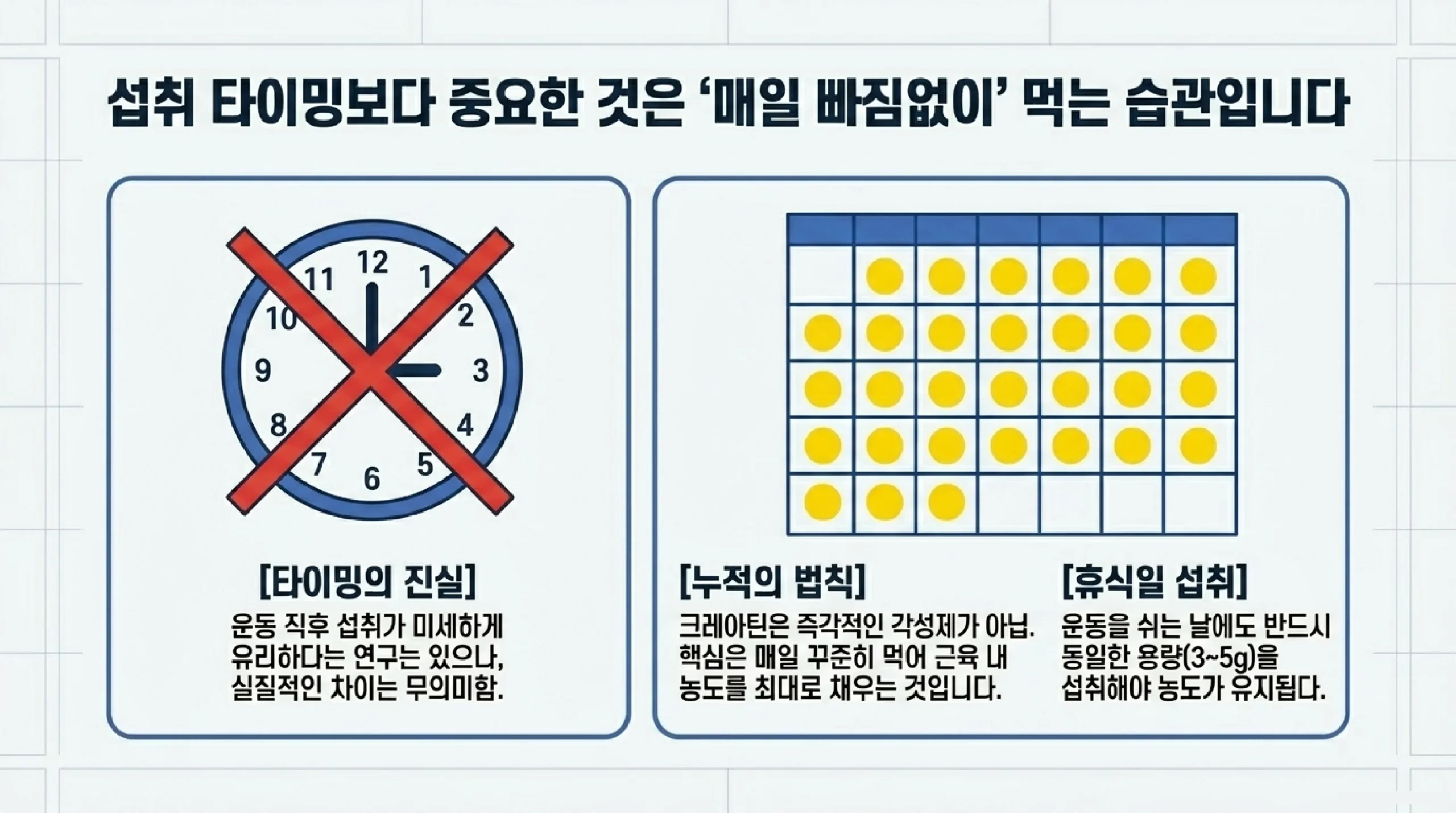 크레아틴 모노하이드레이트 vs HCl vs 버퍼드 — 종류별 효과·가격·추천 순서