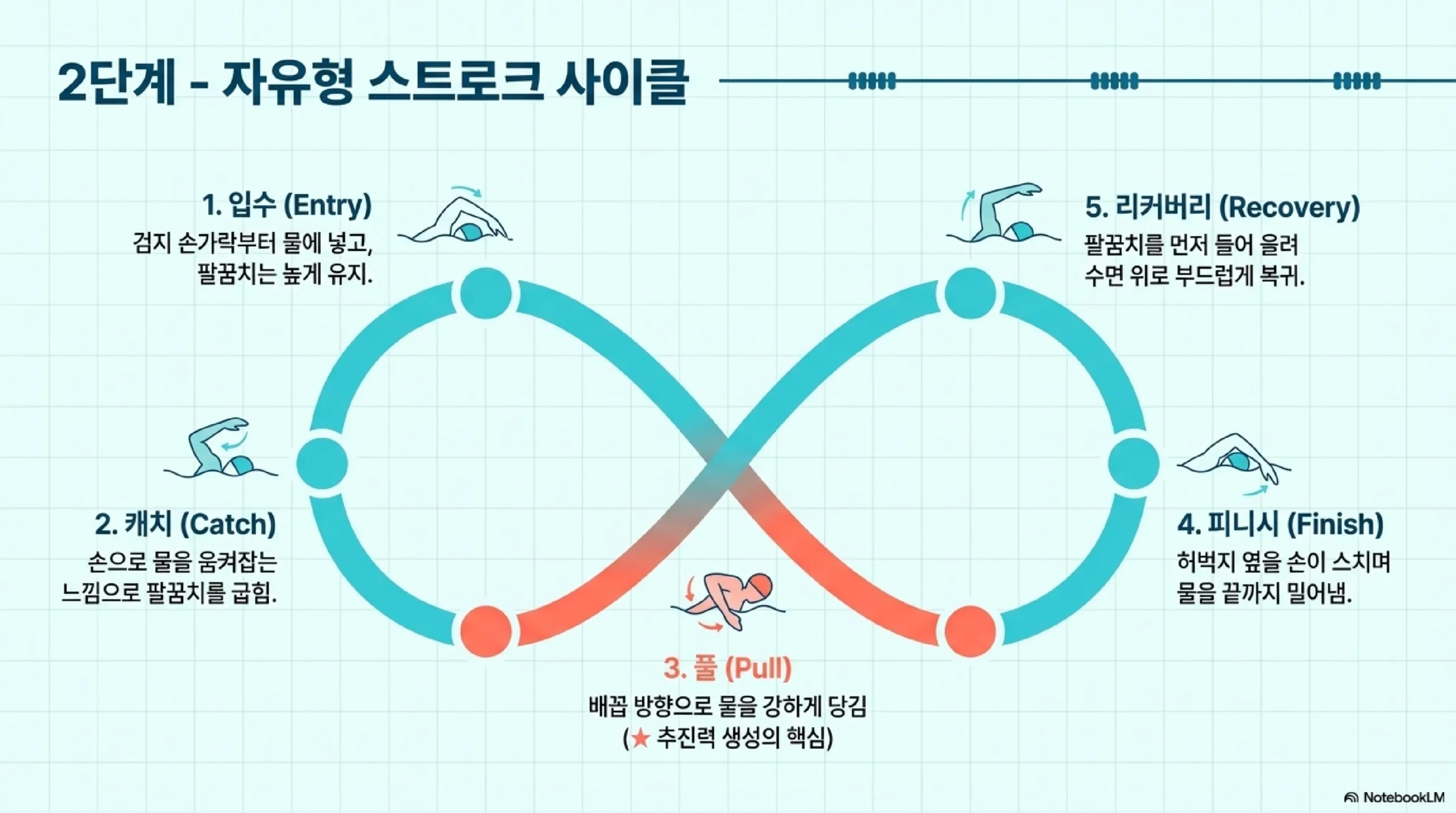 자유형 팔 동작(스트로크)과 호흡 타이밍 — 입수·캐치·풀·피니시 단계