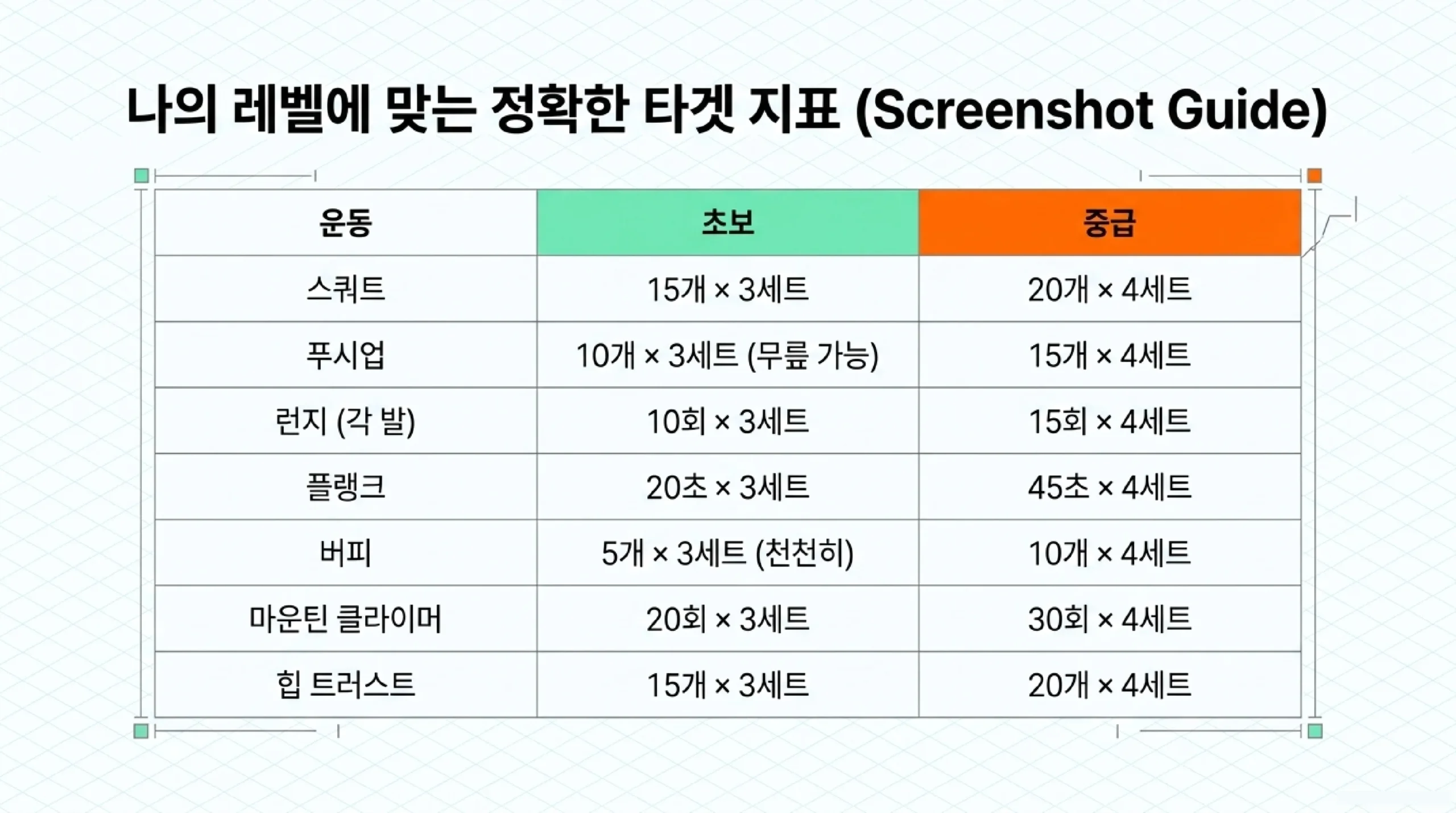 나의 레벨에 맞는 타겟 지표 — 초보·중급 세트수·횟수 완전 정리표