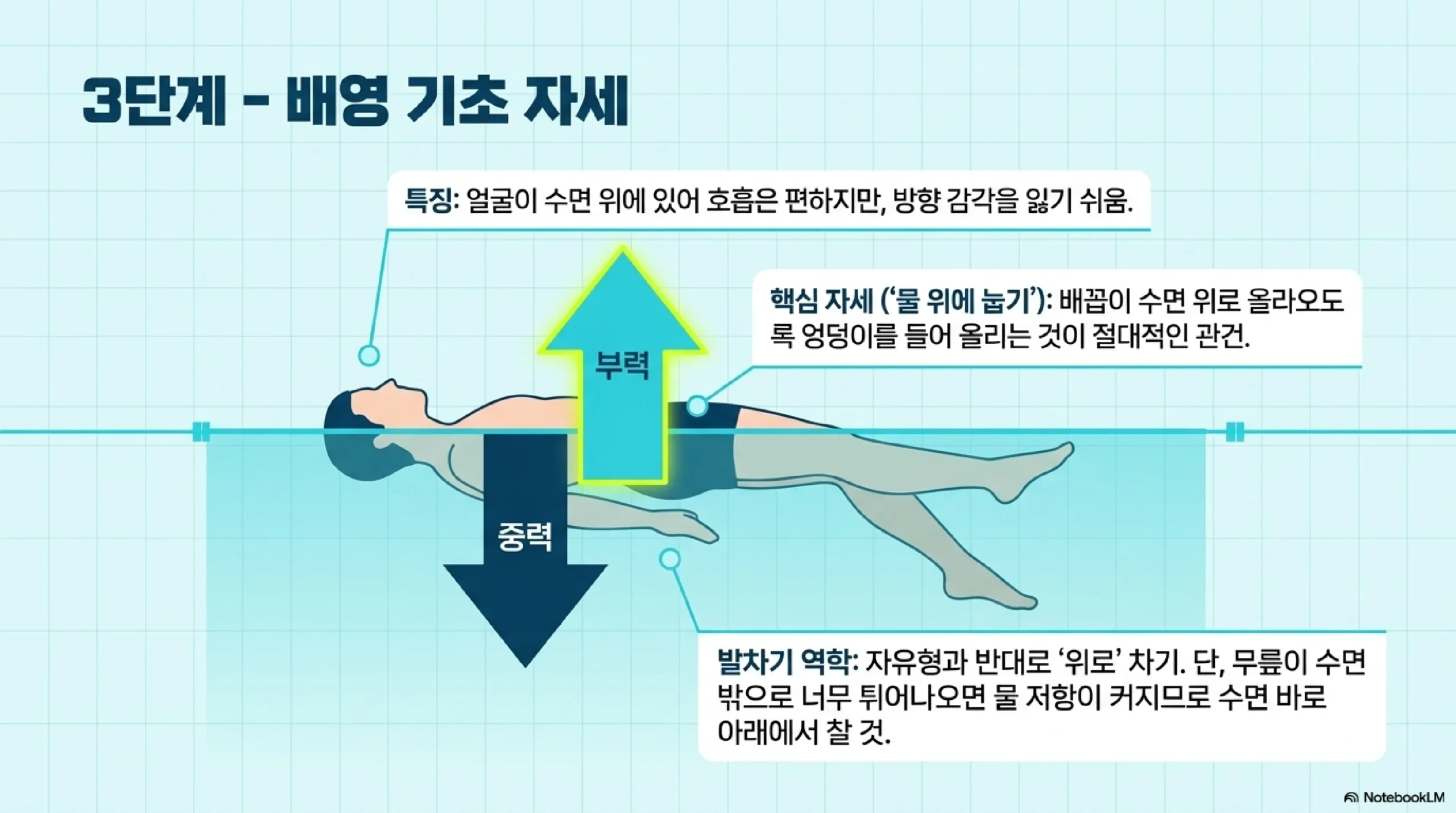 배영 기초 자세·발차기·팔 동작 — 물 위에 눕는 영법 핵심 포인트