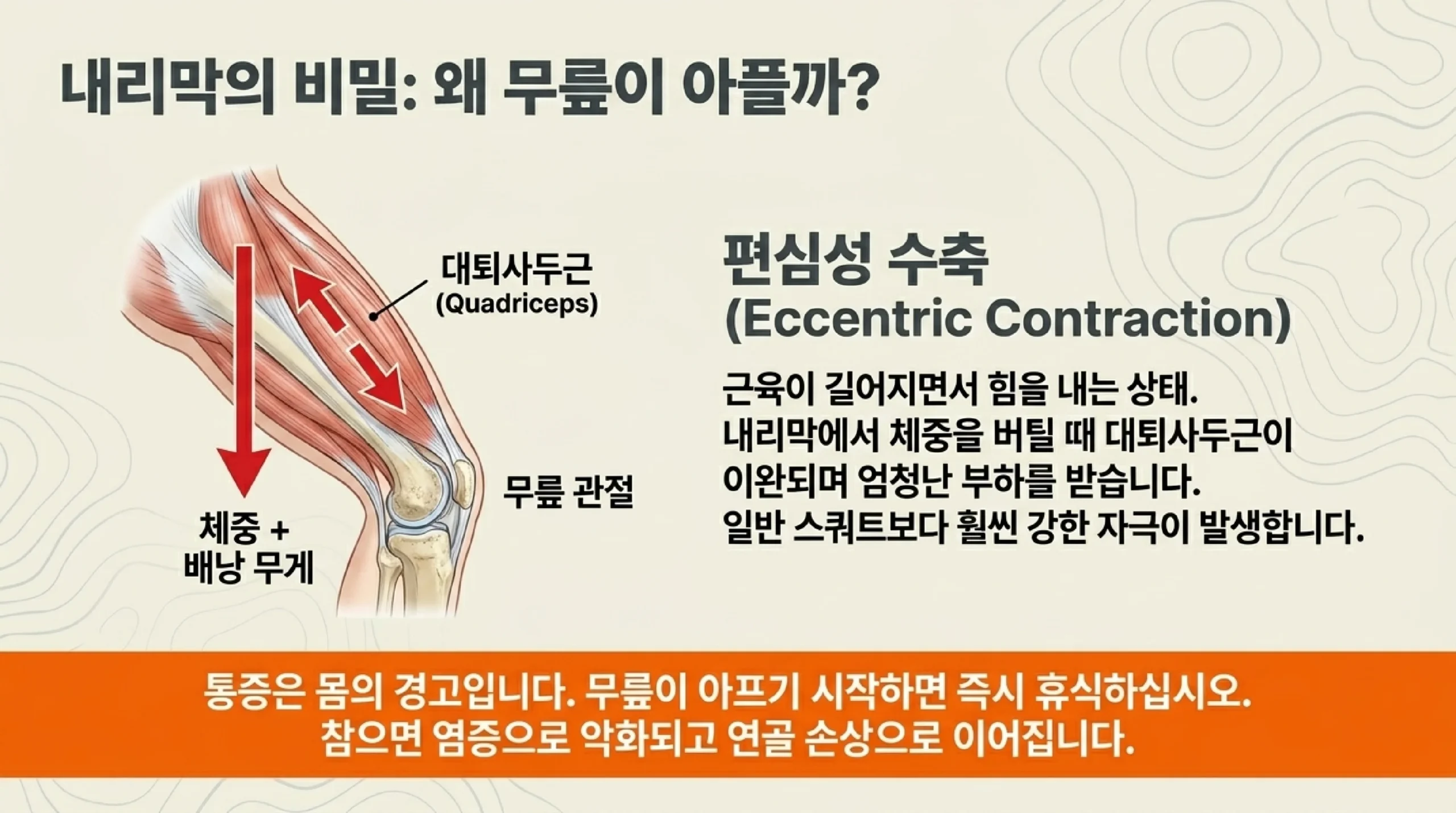 등산 안전 수칙 — 하산 시간 역산·기상 확인·혼자 산행 금지의 이유