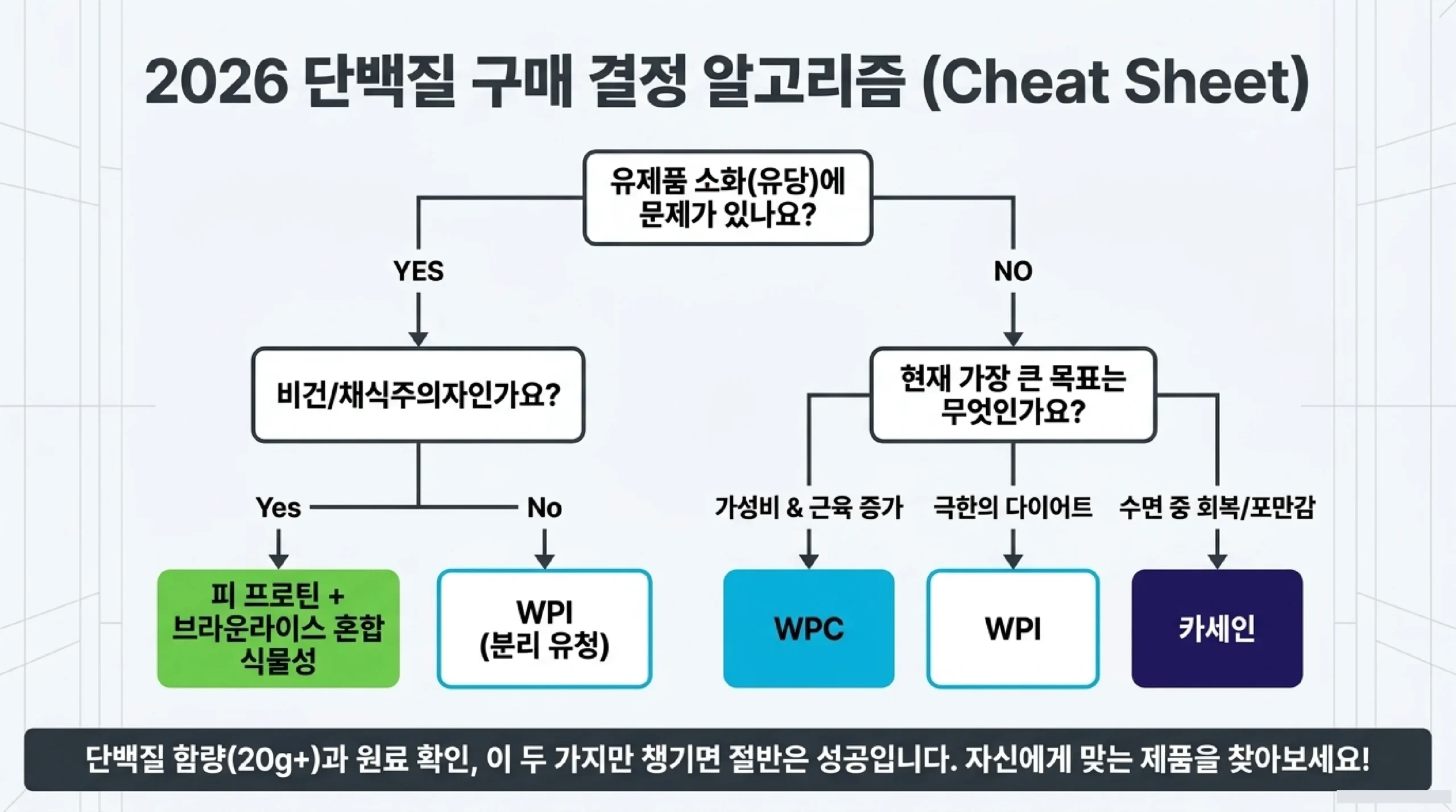 단백질 보충제 자주 묻는 질문 — 식사 대체 가능 여부·배탈 원인·여성 복용·국내vs직구