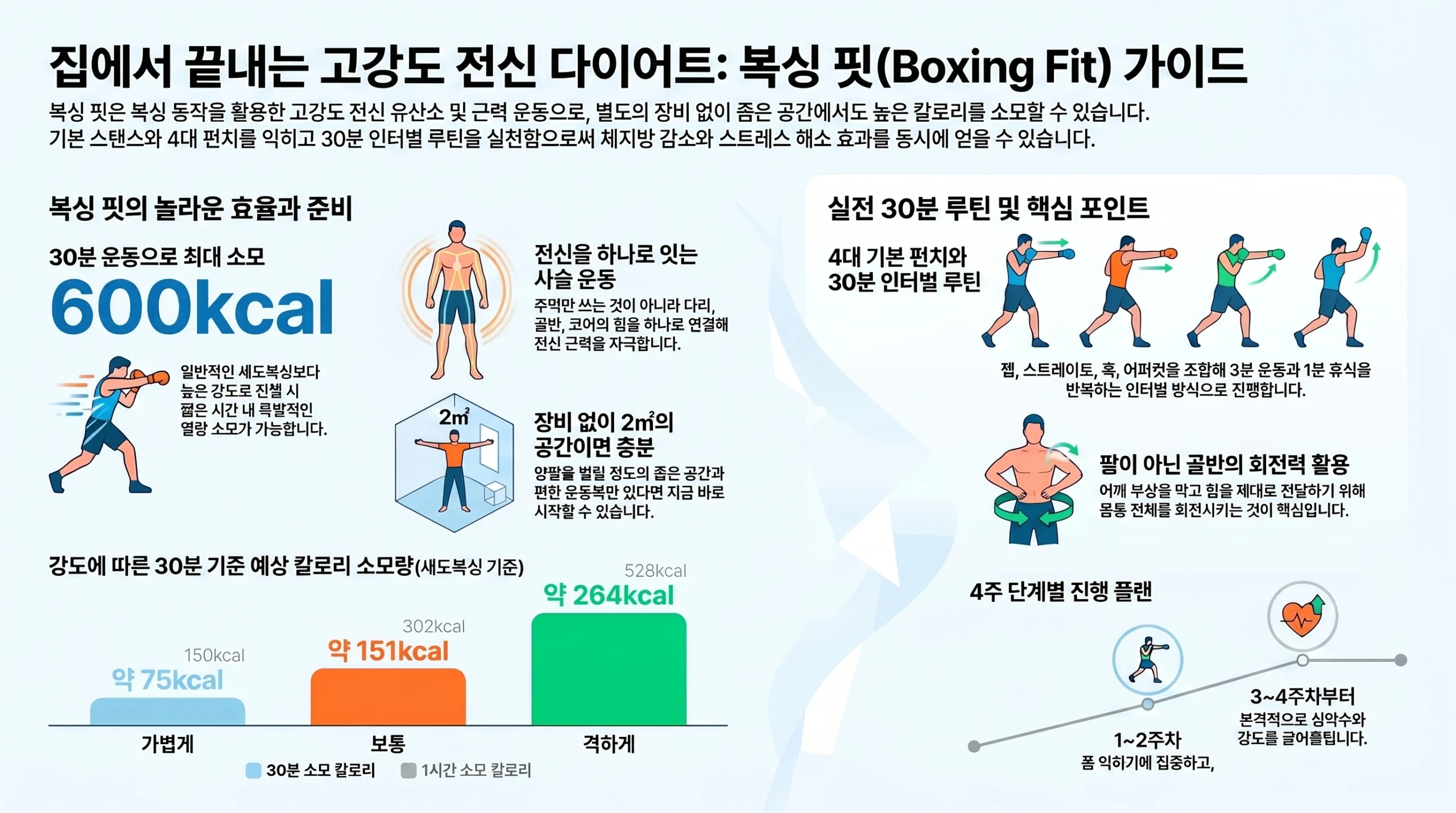 복싱 핏 입문 인포그래픽 — 효과·기본 펀치·30분 루틴 요약