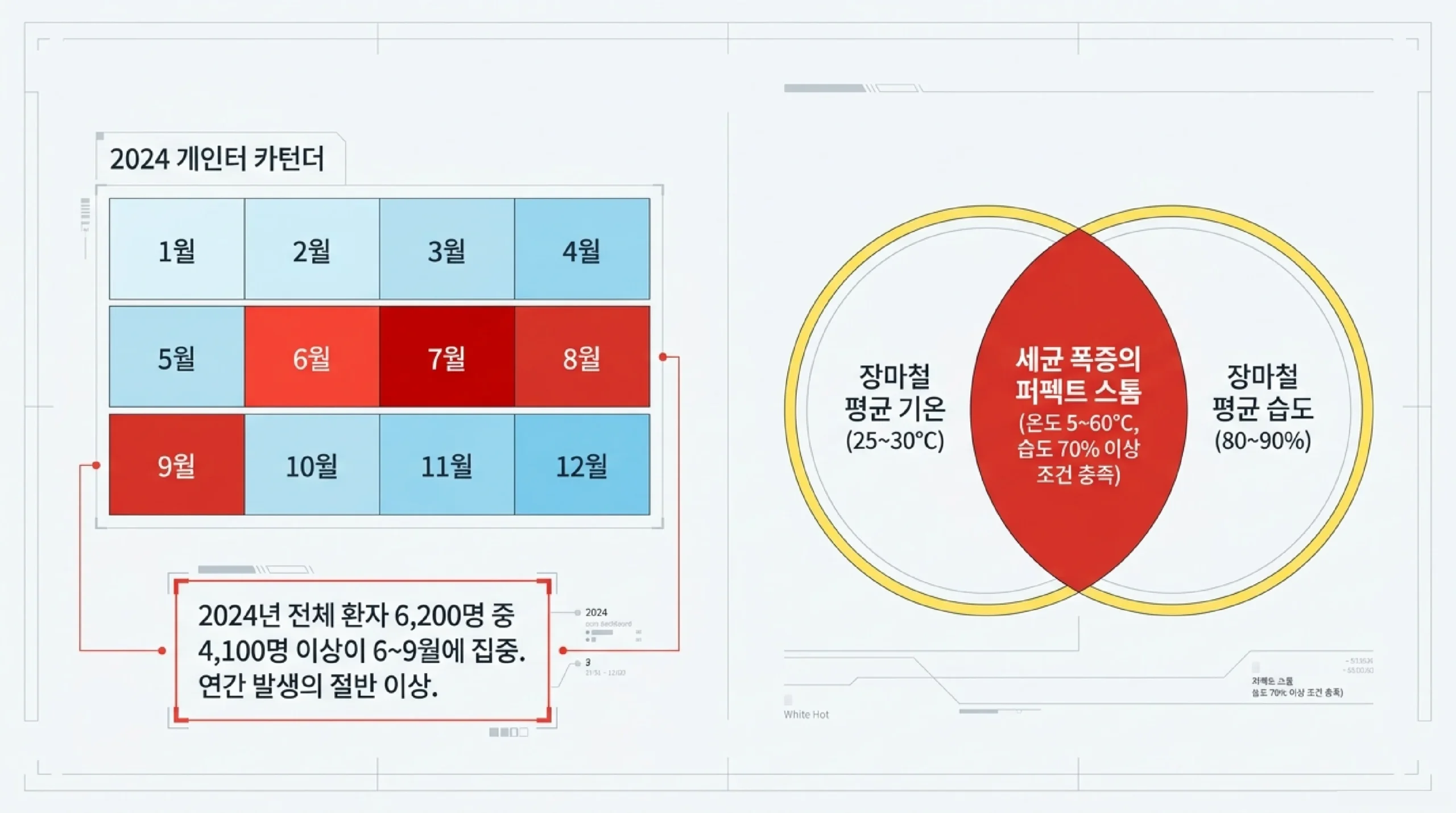 장마철 식중독 원인균 — 살모넬라·노로바이러스·대장균 번식 조건과 예방