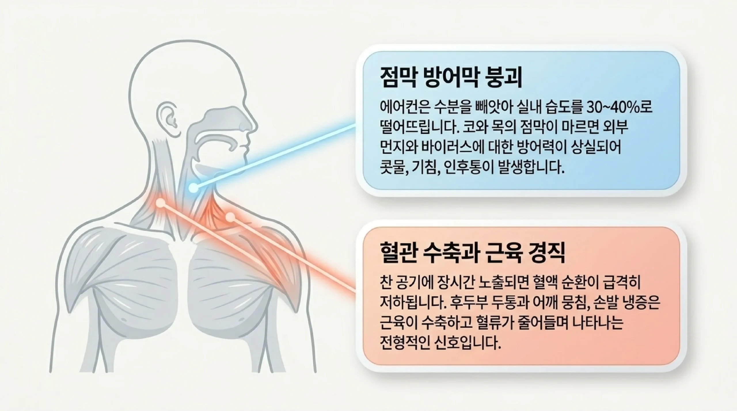 냉방병 원인 — 자율신경계 과부하·낮은 습도·혈액순환 저하