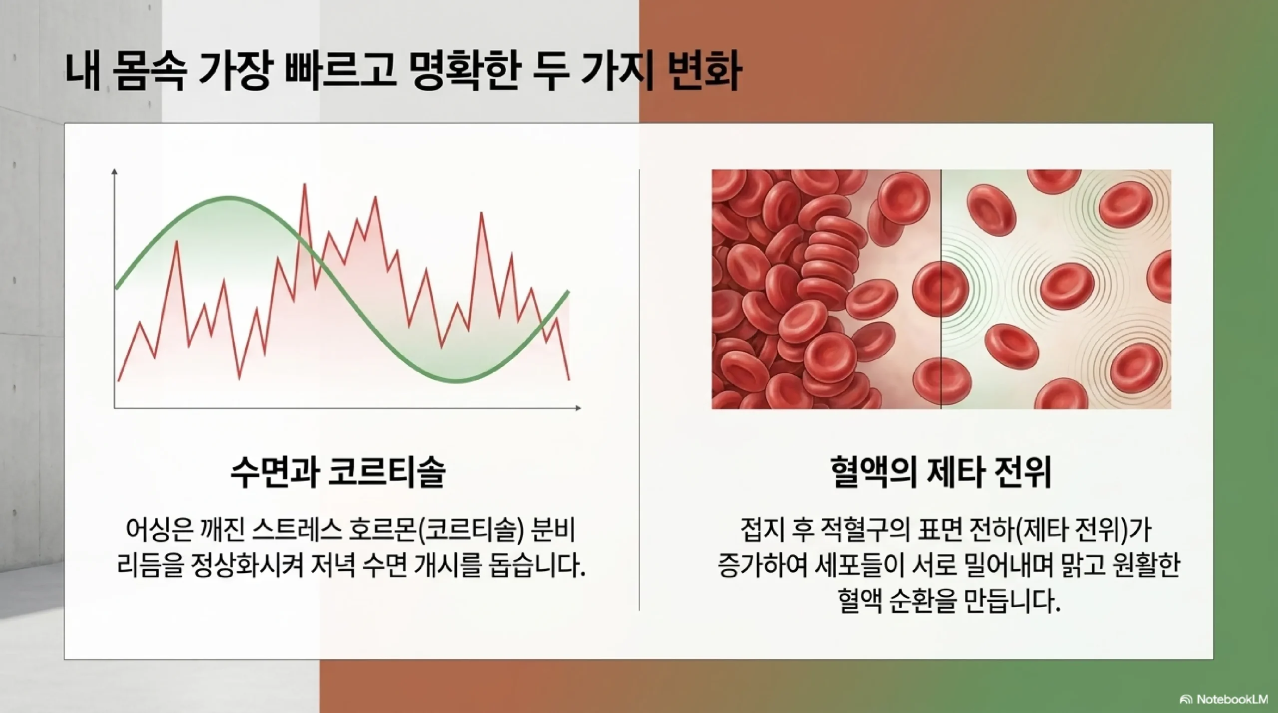 맨발걷기 수면 개선 효과 — 코르티솔 분비 리듬 정상화와 수면 시작 시간 단축