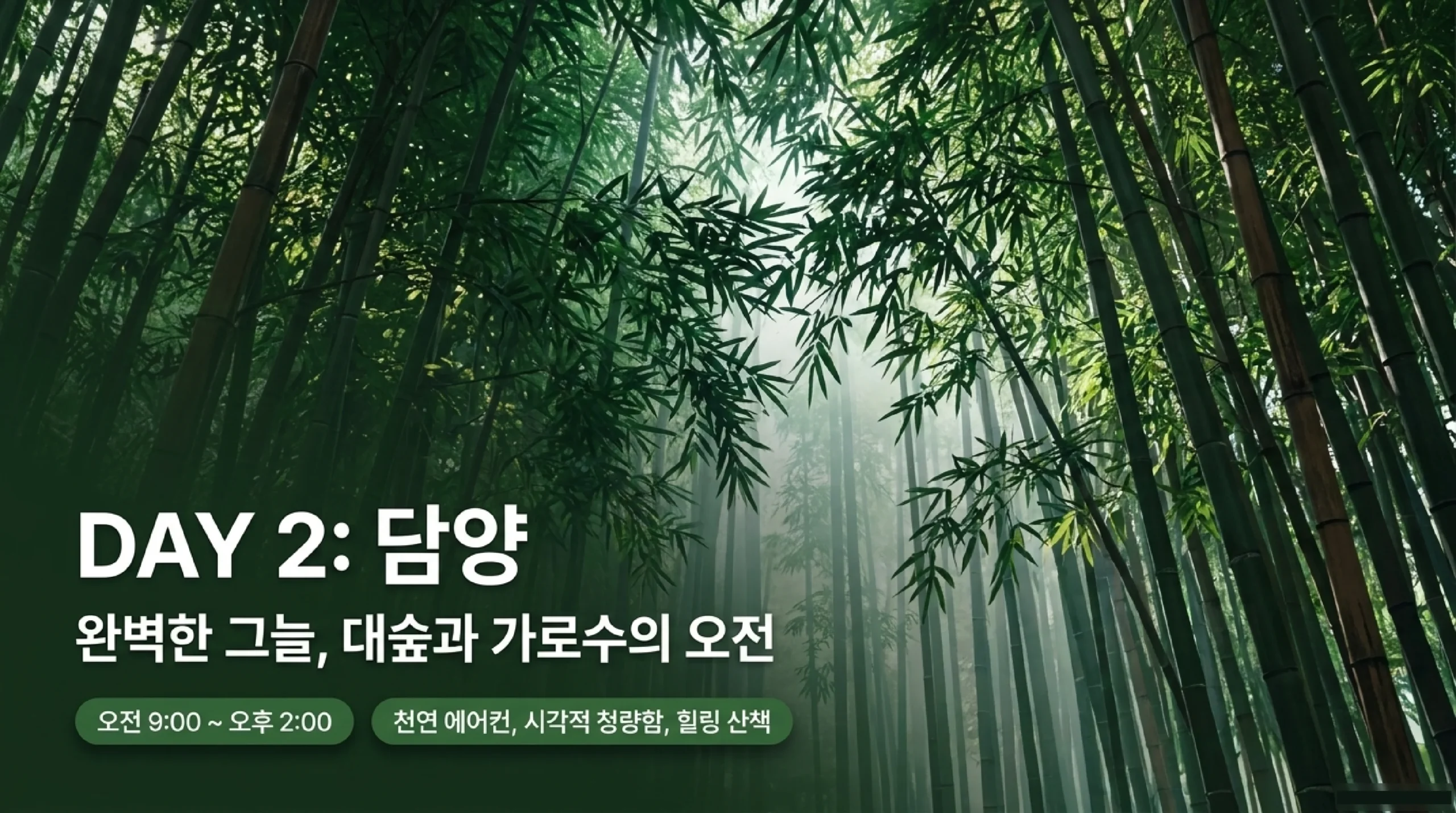 담양 메타세쿼이아 가로수길 입장료와 그늘 구간 즐기는 법