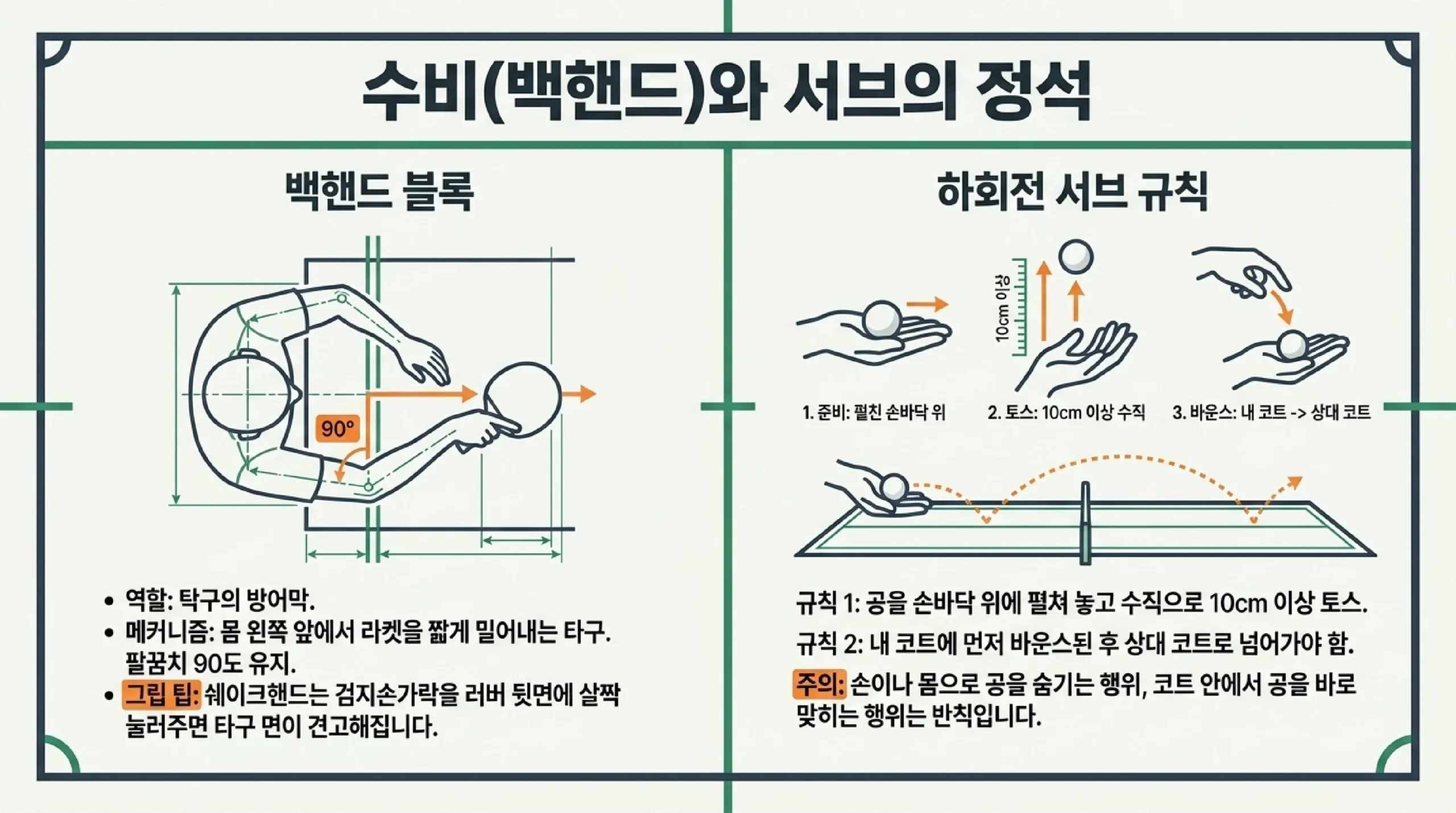 백핸드 블록·드라이브 기초 동작 단계별 분해
