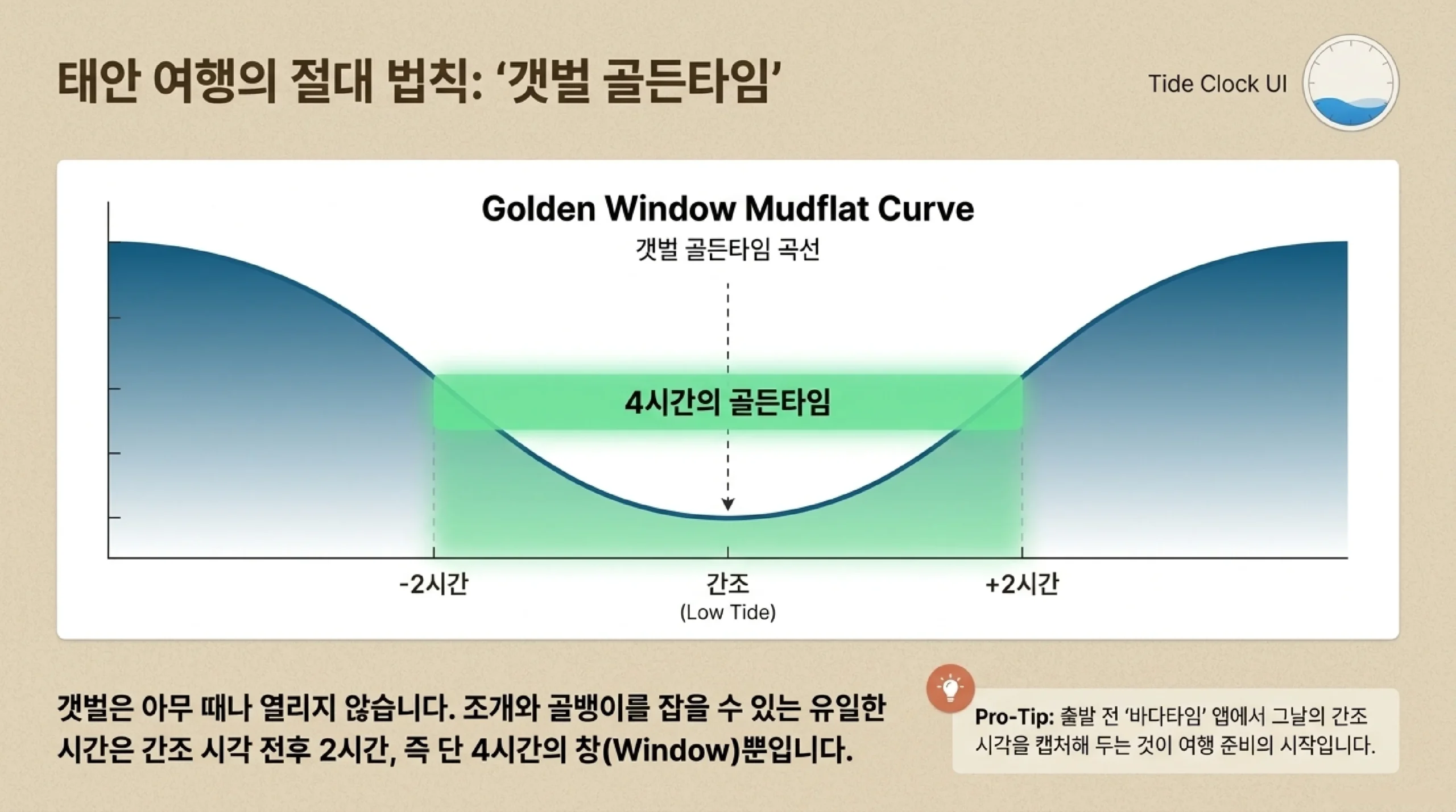 몽산포 해수욕장 갯벌 체험과 솔숲 오토캠핑