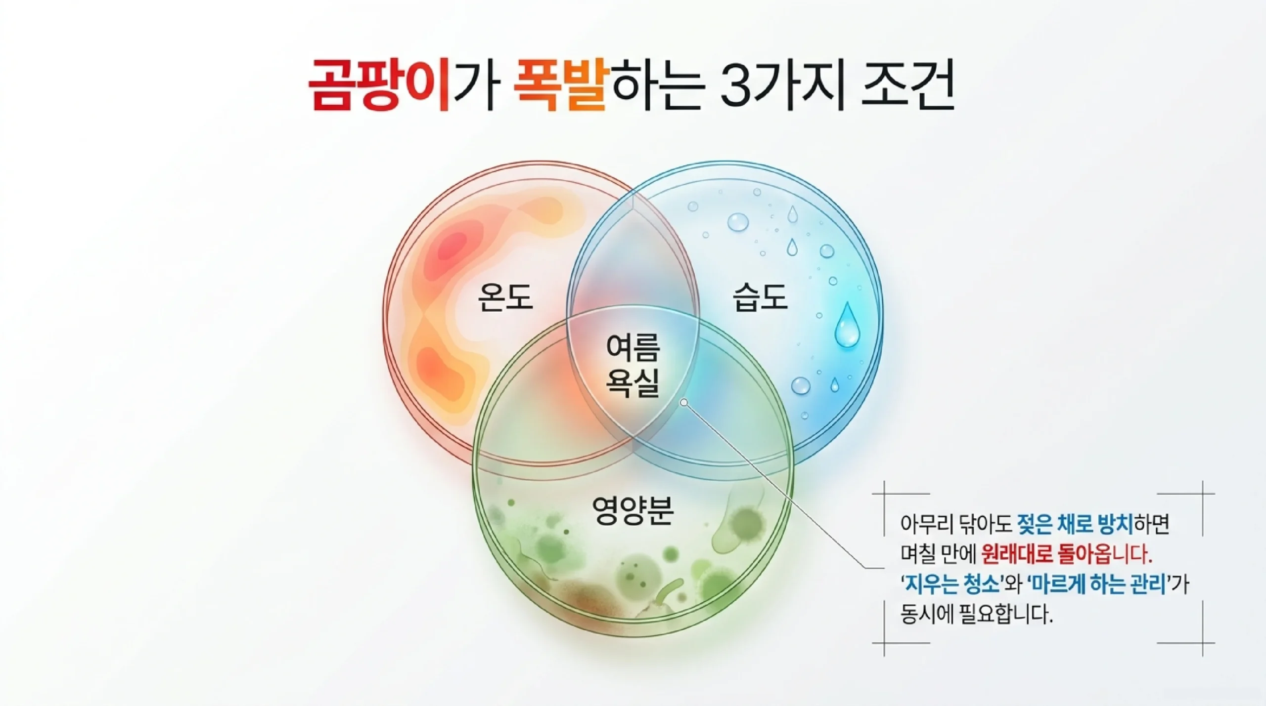 여름 욕실에 곰팡이와 물때가 심해지는 이유 — 높은 기온 오래 유지되는 습도 비누 찌꺼기 영양분 타일 줄눈 실리콘부터 번짐
