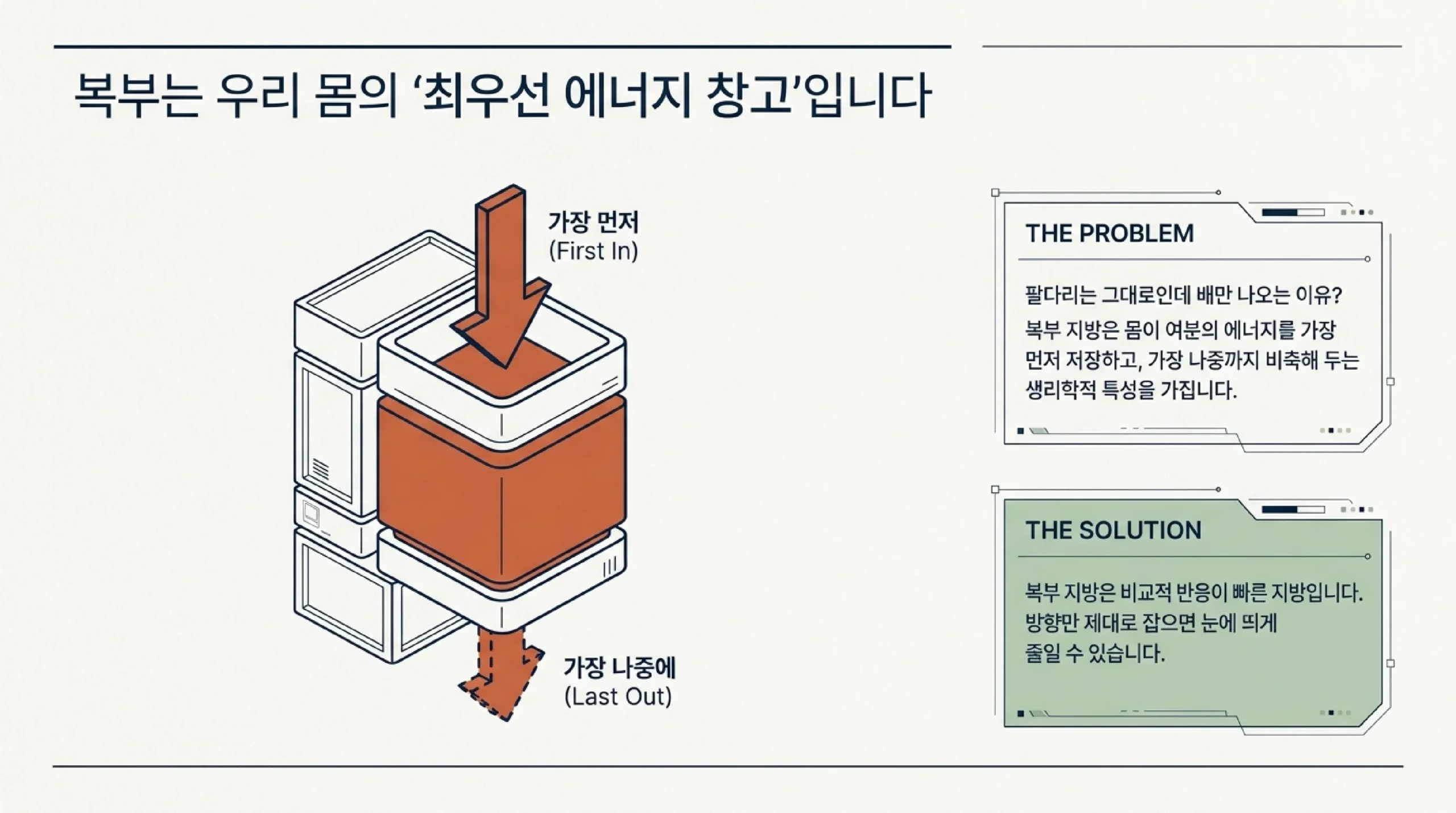 뱃살의 정체 내장지방 피하지방 차이 사과형 복부 대사증후군 부분감량 불가능