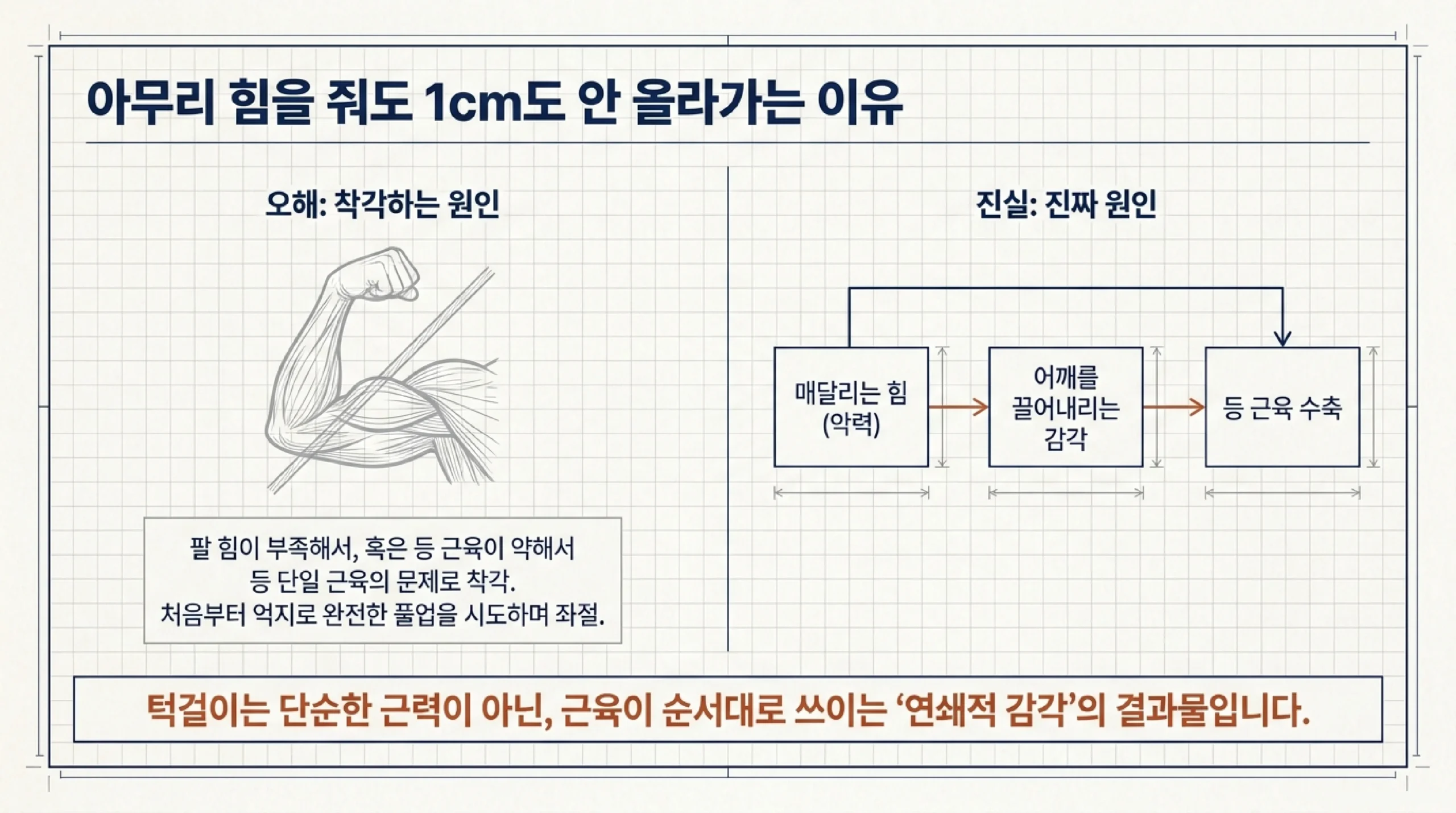 턱걸이 주동근 안내: 광배근 중심에 이두근·후면삼각근·능형근·전완근이 협응하는 상체 근육 그림