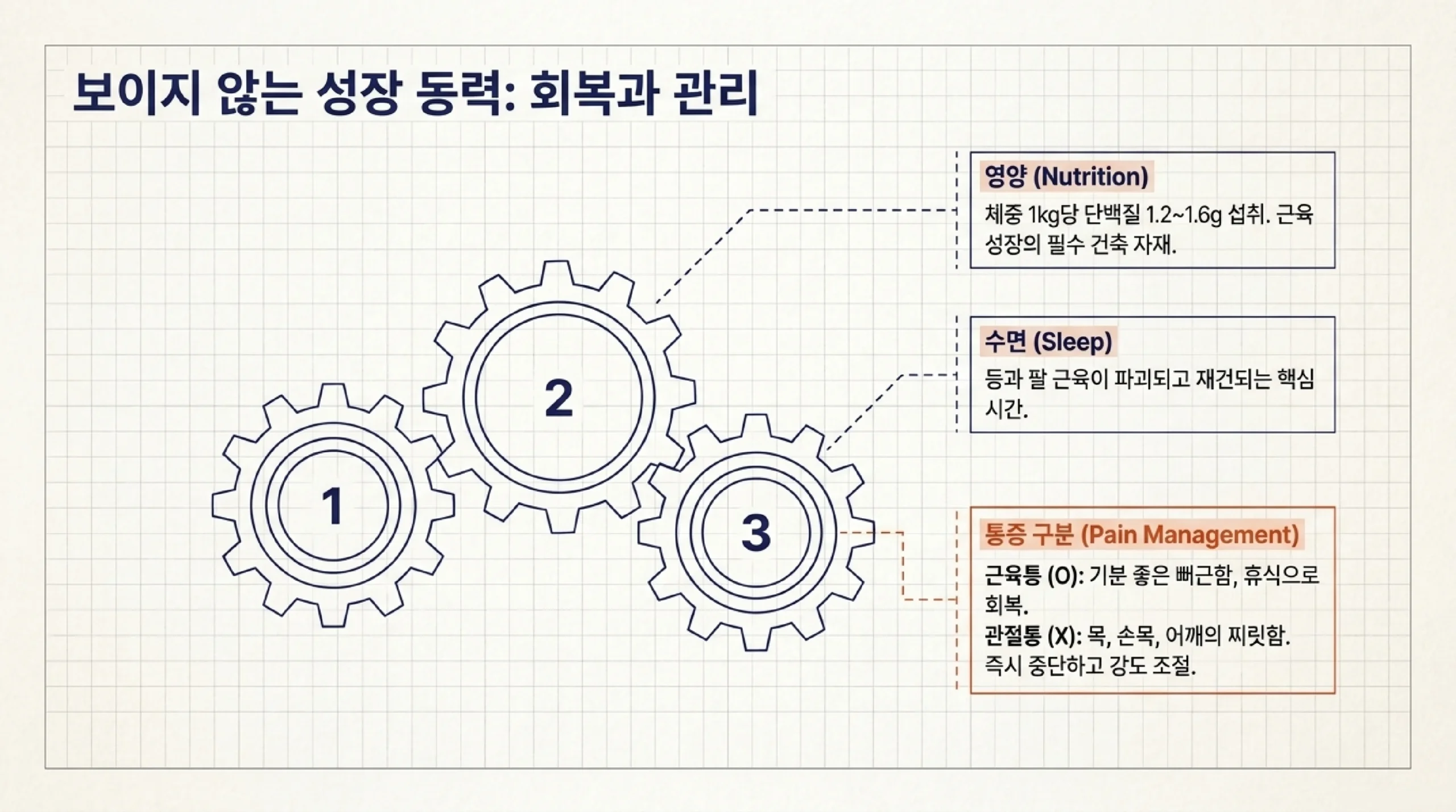 네거티브 풀업: 최고점에서 시작해 3~5초에 걸쳐 천천히 내려오며 체중을 버티는 신장성 훈련
