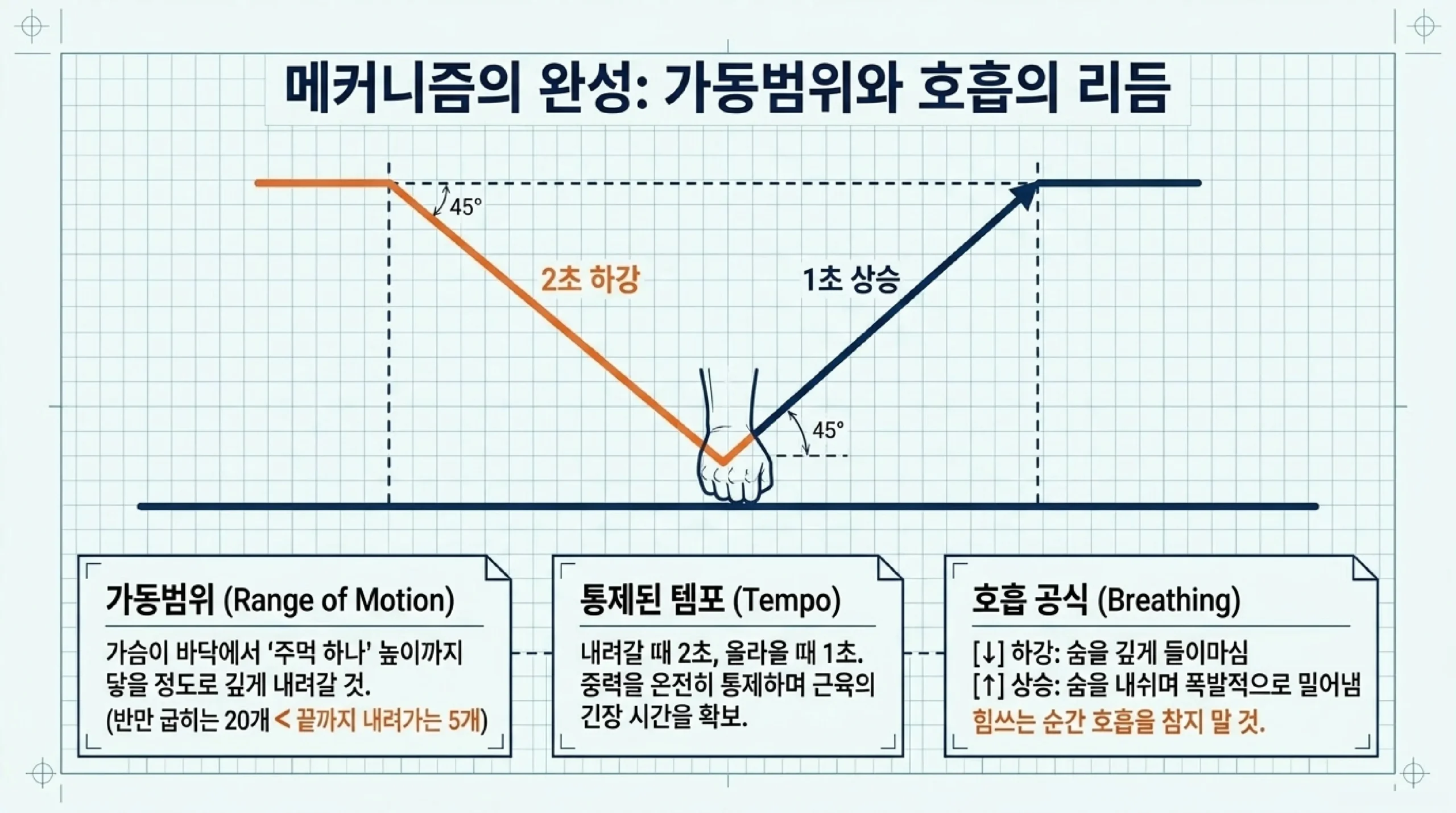 푸시업이 쓰는 근육 — 대흉근 전면삼각근 삼두근에 복근 엉덩이까지, 판자 같은 몸 유지가 핵심
