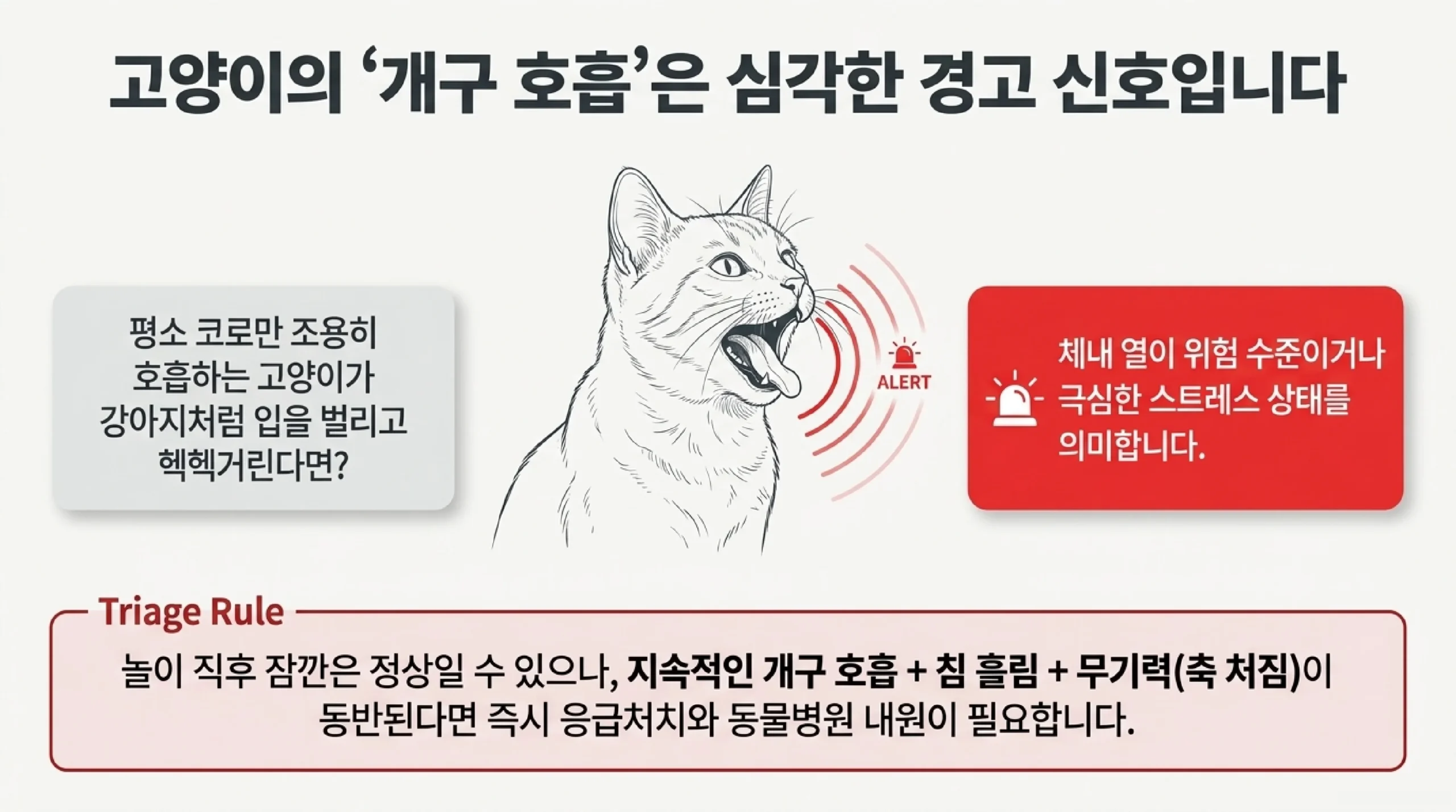 밀폐 차량 절대 금지 — 주차 차량 실내 50~60도 급상승, 잠깐도 혼자 두지 말고 이동 시 통풍·물·그늘