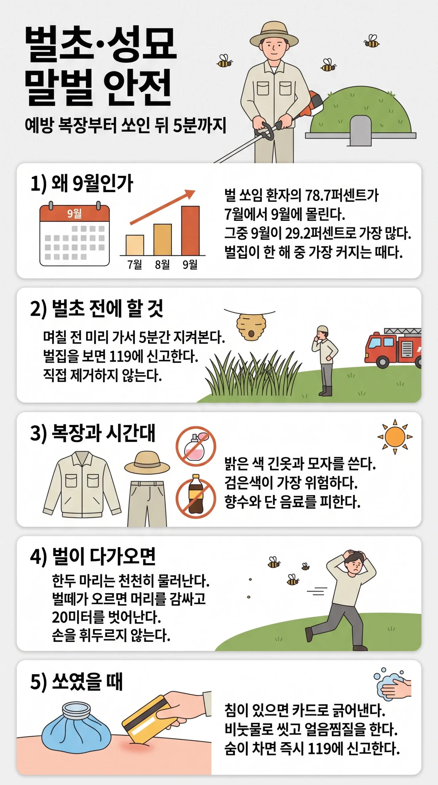 벌초·성묘 전 말벌 안전 — 쏘였을 때 응급처치와 예방 복장·시간대