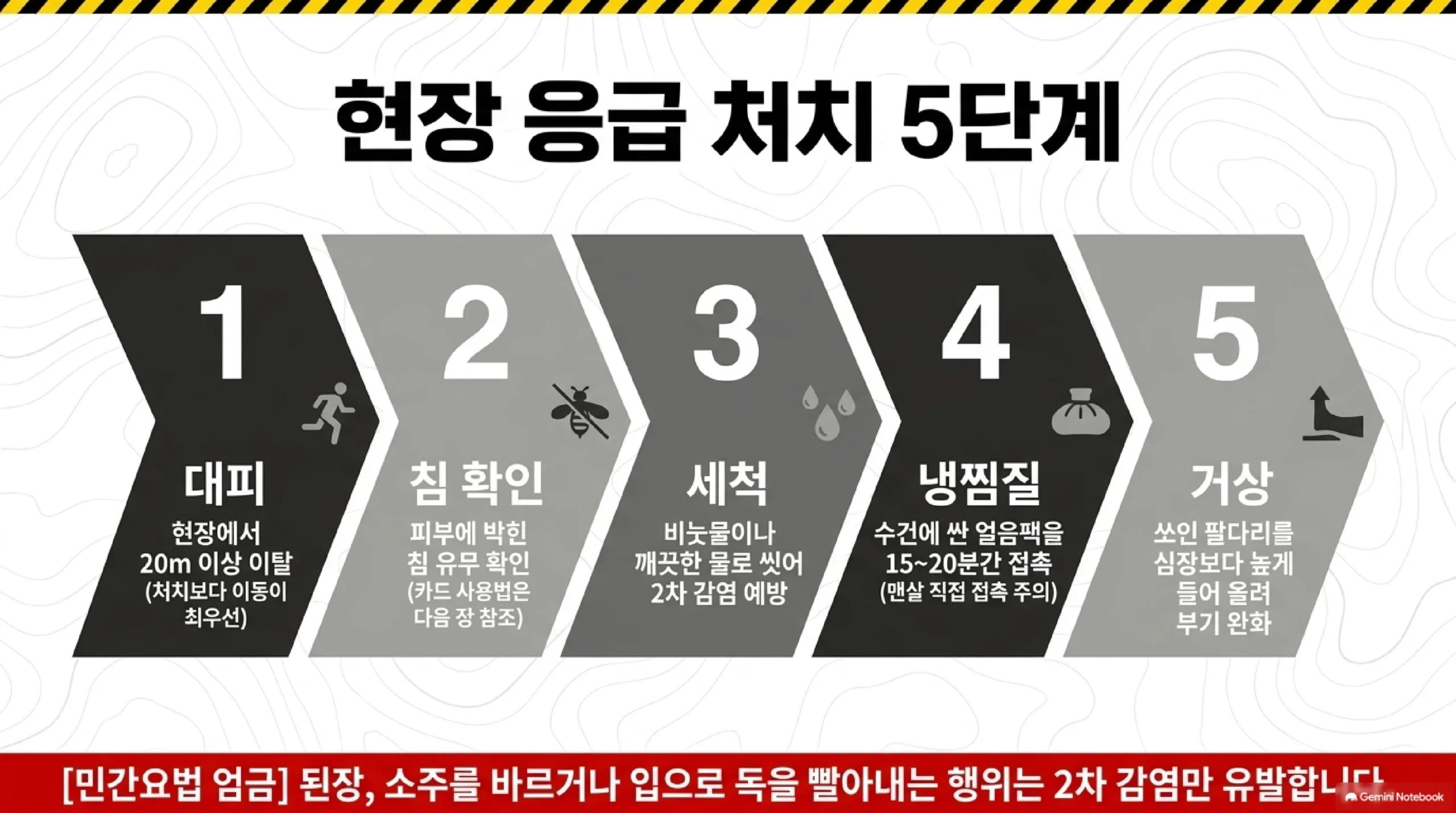 벌에 쏘였을 때 현장 응급처치 5단계 — 1단계 현장에서 20미터 이상 이탈해 처치보다 이동을 우선하고, 2단계 피부에 박힌 침이 있는지 확인하고, 3단계 비눗물이나 깨끗한 물로 씻어 2차 감염을 예방하고, 4단계 수건에 싼 얼음팩을 15에서 20분간 대고, 5단계 쏘인 팔다리를 심장보다 높게 들어 부기를 완화하며, 된장이나 소주를 바르거나 입으로 독을 빨아내는 민간요법은 금물이다