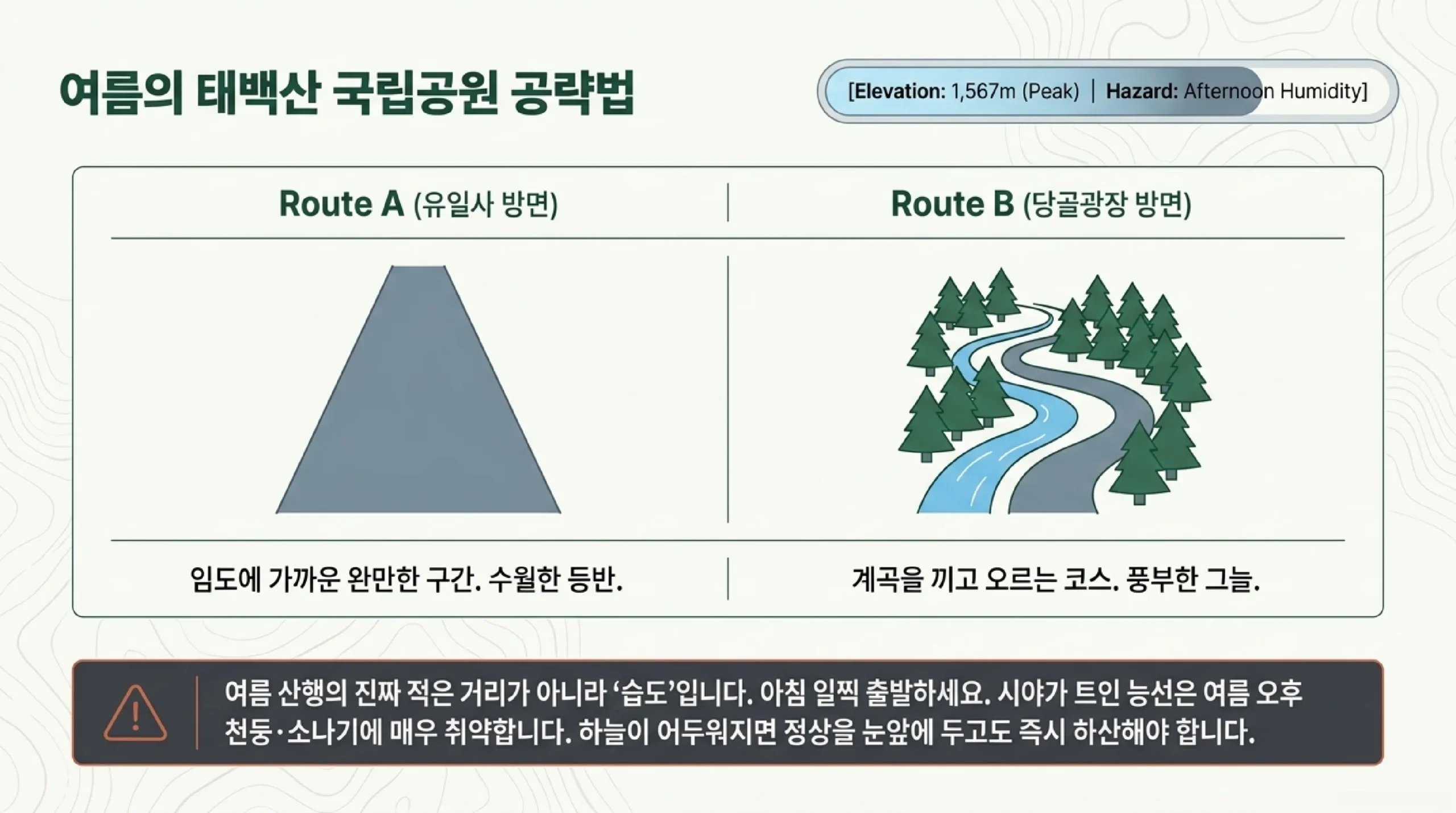 여름 태백산 국립공원 코스 비교 — 유일사 방면은 임도에 가까운 완만한 구간, 당골광장 방면은 계곡을 끼고 올라 그늘이 많음, 오후 소나기 주의