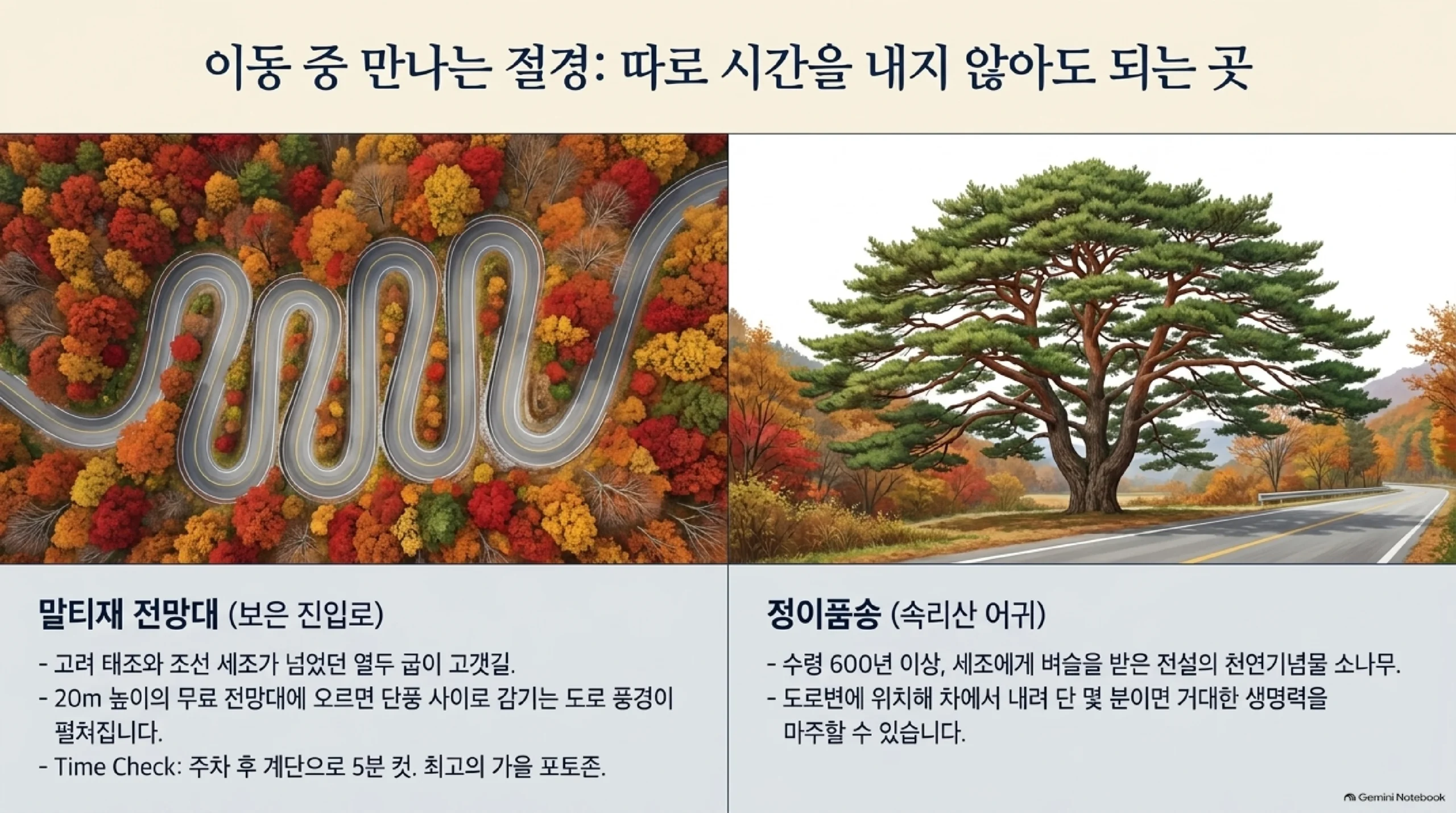 이동 중에 만나는 절경으로 따로 시간을 내지 않아도 되는 두 곳 — 보은 진입로의 말티재 전망대는 고려 태조와 조선 세조가 넘던 열두 굽이 고갯길로 높이 20미터의 무료 전망대에 오르면 단풍 사이로 감기는 도로 풍경이 펼쳐지고 주차 후 계단으로 5분이면 닿으며, 속리산 어귀의 정이품송은 수령 600년 이상으로 세조에게 벼슬을 받은 전설이 전하는 천연기념물 소나무이고 도로변에 있어 차에서 내려 단 몇 분이면 거대한 생명력을 마주할 수 있다는 안내