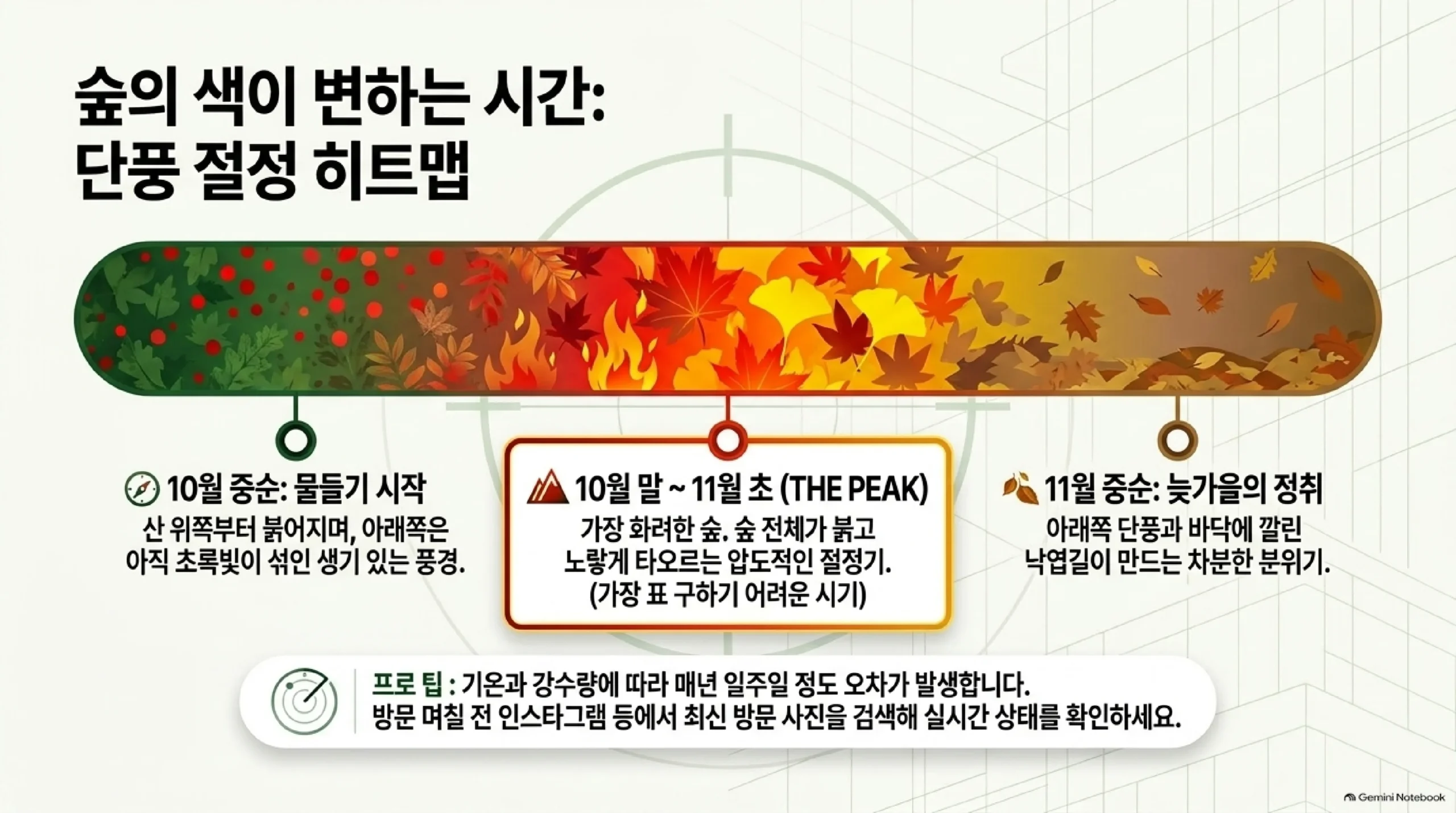 화담숲 단풍 시기 — 10월 중순에는 산 위쪽부터 물들기 시작하고, 10월 말~11월 초에 숲 전체가 붉고 노랗게 물드는 절정이며, 11월 중순에는 아래쪽 단풍과 낙엽길이 남는 늦가을 분위기로, 해마다 기온과 비에 따라 일주일 정도 차이가 난다는 안내
