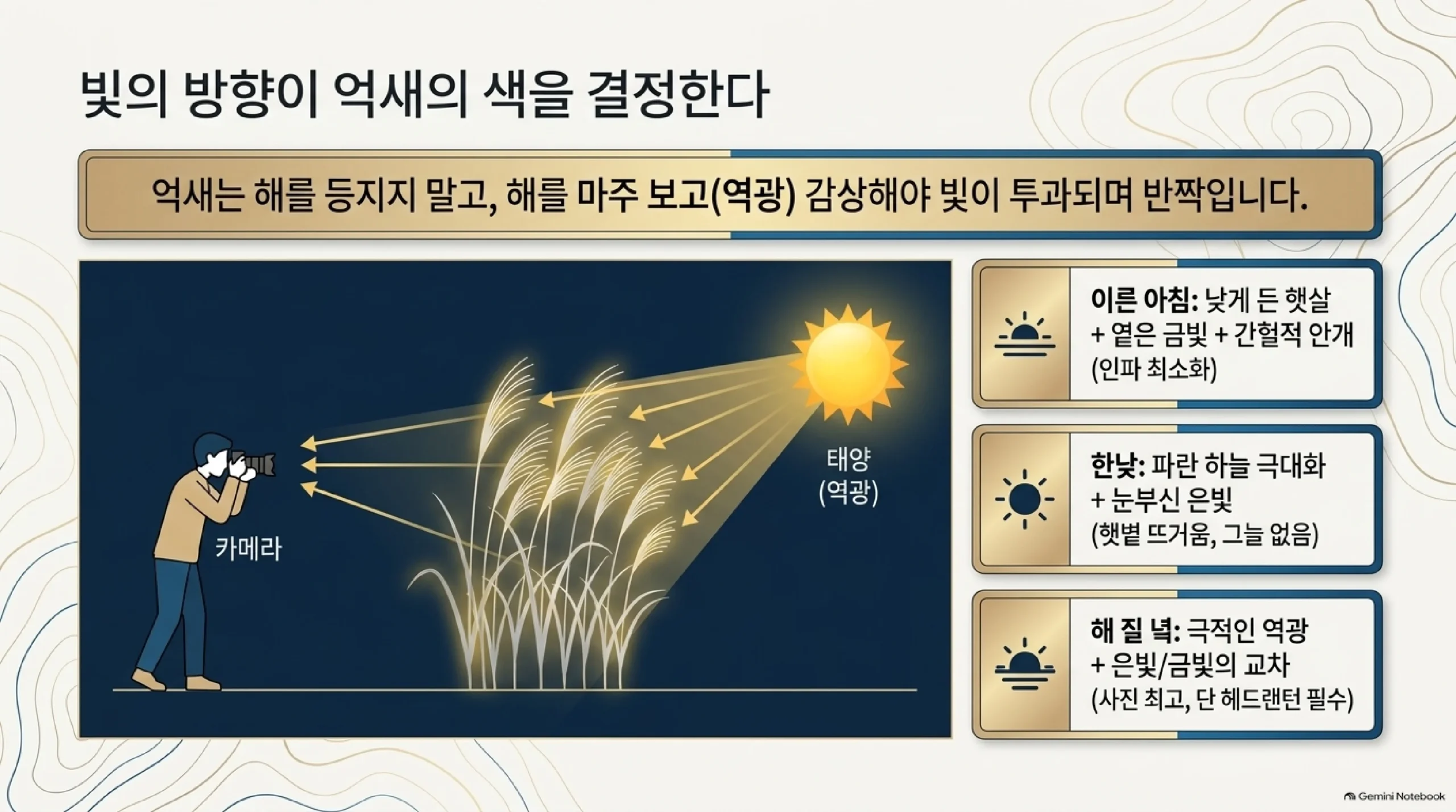 빛의 방향이 억새의 색을 정한다 — 억새는 해를 등지지 말고 해를 마주 보는 역광에서 봐야 빛이 투과돼 반짝이며, 이른 아침은 옅은 금빛과 안개로 인파가 적고, 한낮은 파란 하늘과 은빛이지만 그늘이 없어 뜨겁고, 해 질 녘은 은빛과 금빛이 교차해 사진이 가장 좋지만 헤드랜턴이 필요하다는 비교