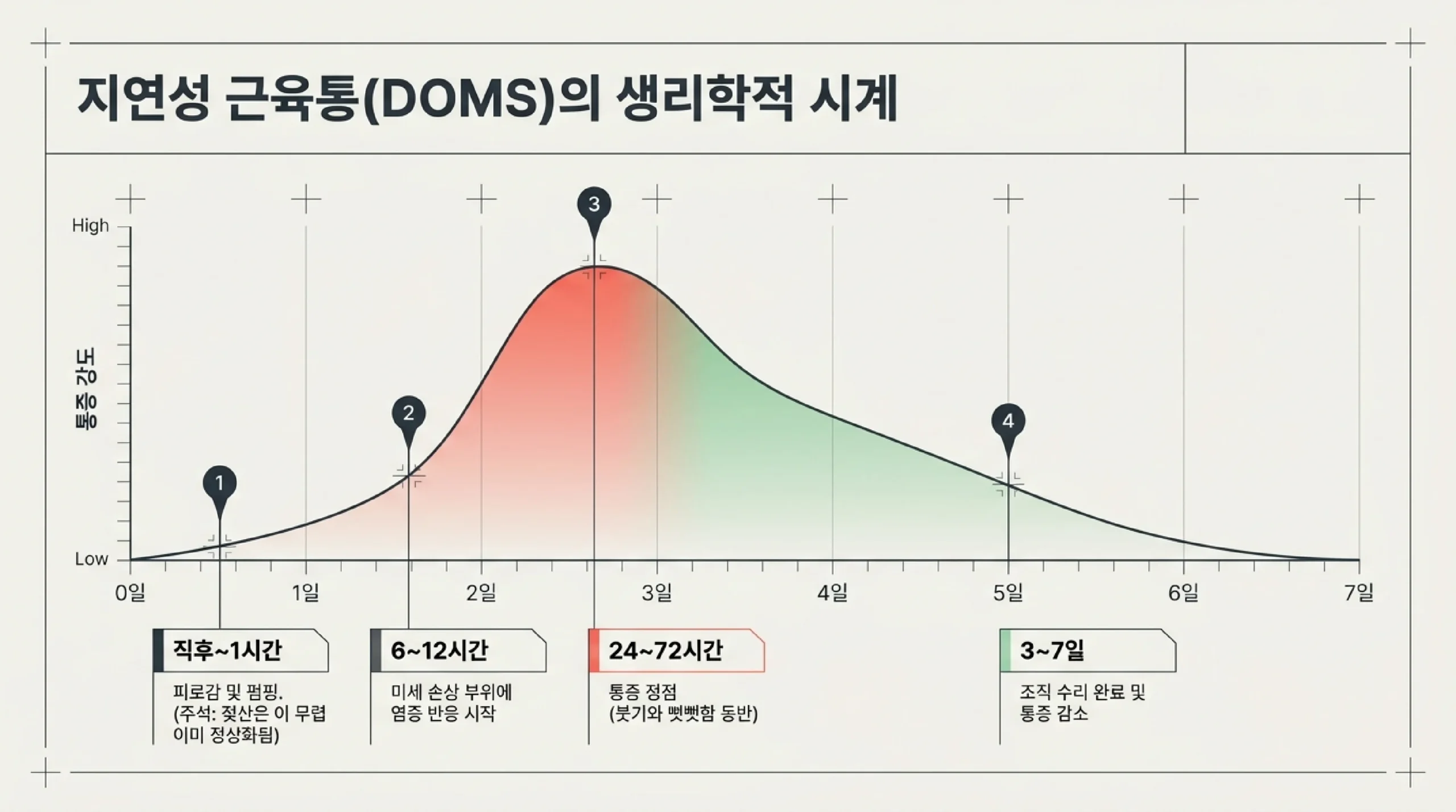지연성 근육통의 시간별 진행 곡선 — 운동 직후부터 1시간까지는 피로감과 펌핑 정도이며 젖산은 이 무렵 이미 정상화되고, 6시간에서 12시간 사이에 미세 손상 부위에 염증 반응이 시작되며, 24시간에서 72시간 사이에 통증이 정점을 찍고 붓기와 뻣뻣함이 동반되며, 3일에서 7일 사이에 조직 수리가 완료되고 통증이 감소한다는 설명