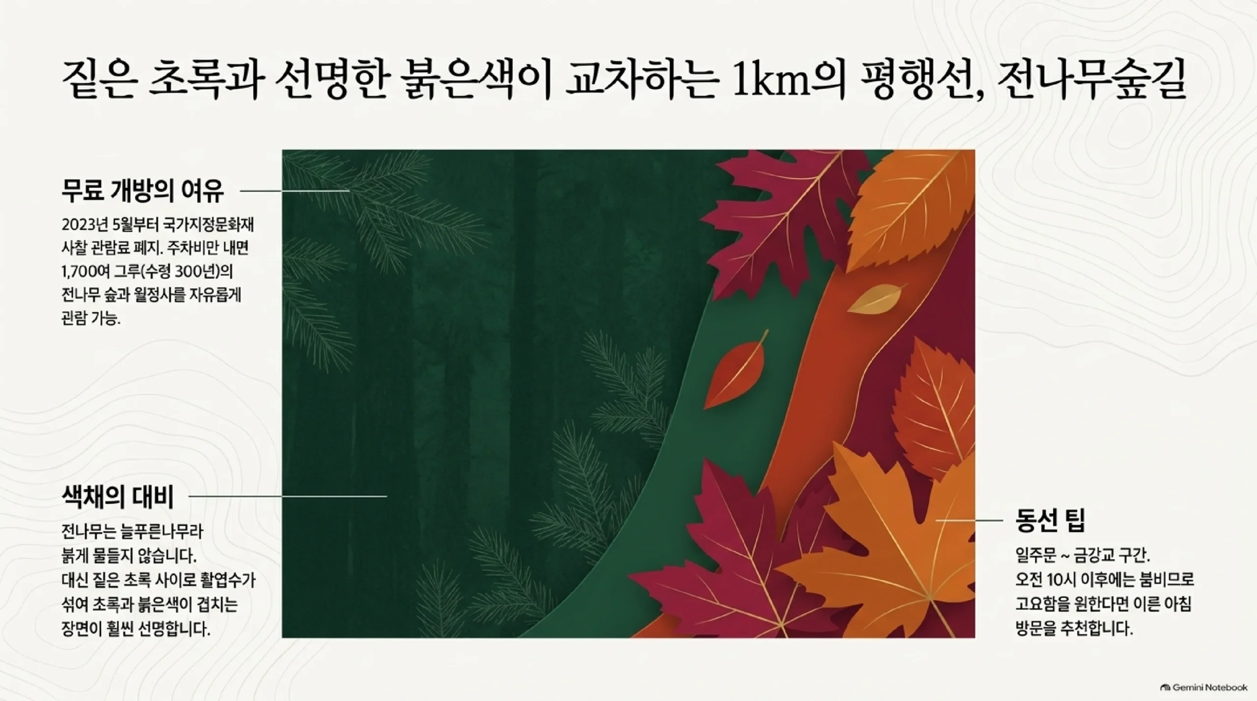 월정사 전나무숲길 안내 — 일주문에서 금강교까지 약 1km, 전나무 1,700여 그루가 늘어선 길로 2023년 5월 사찰 관람료 폐지 후 주차비만 내면 무료로 걸을 수 있고, 늘푸른 전나무 사이 활엽수 단풍이 초록과 붉은색 대비를 만든다는 설명