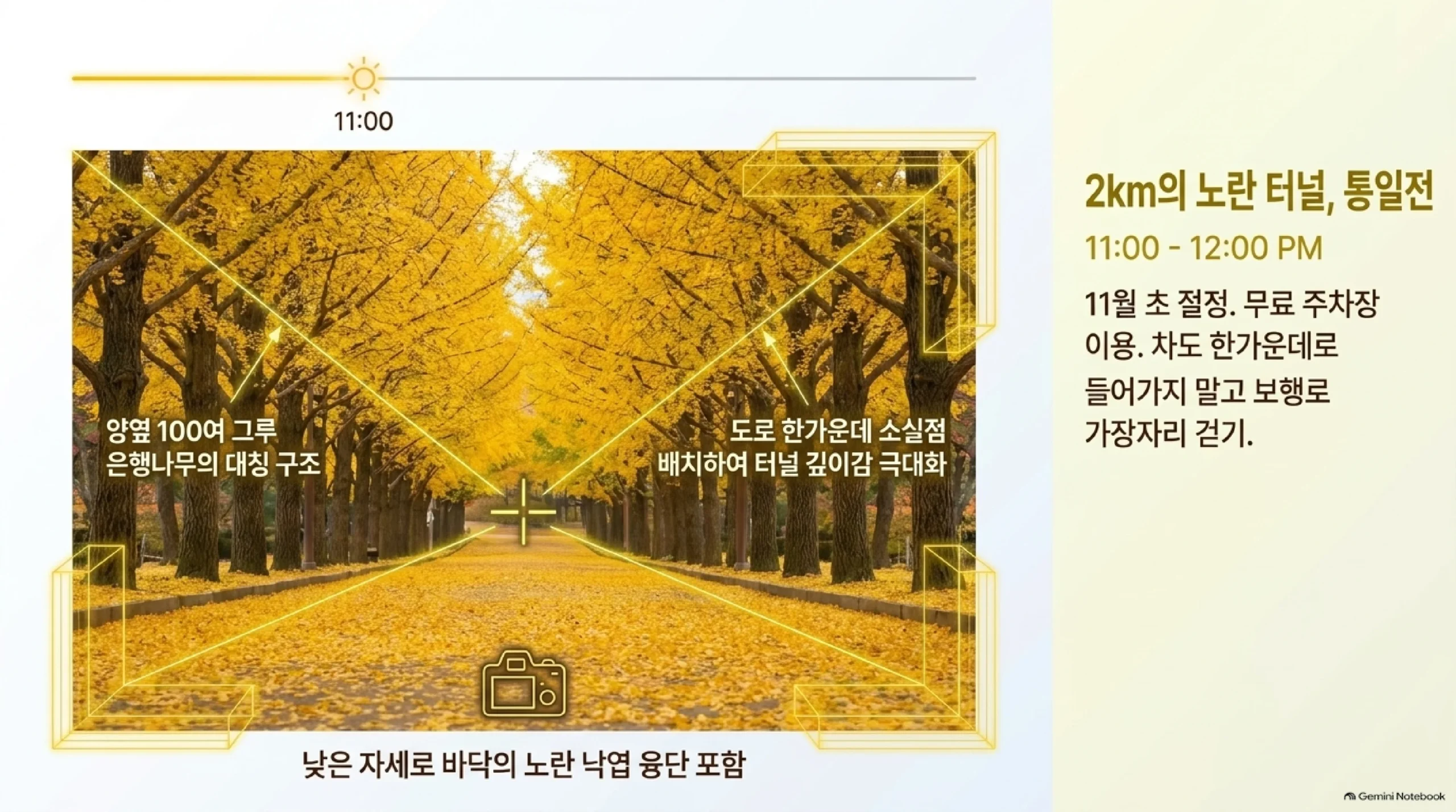 통일전 은행나무길 — 양옆 100여 그루 은행나무가 대칭을 이루는 약 2km 노란 터널로 11월 초 절정, 무료 주차장을 이용하고 차도 한가운데로 들어가지 말고 보행로 가장자리를 걸으며, 도로 한가운데 소실점과 바닥 낙엽을 넣어 찍으라는 안내