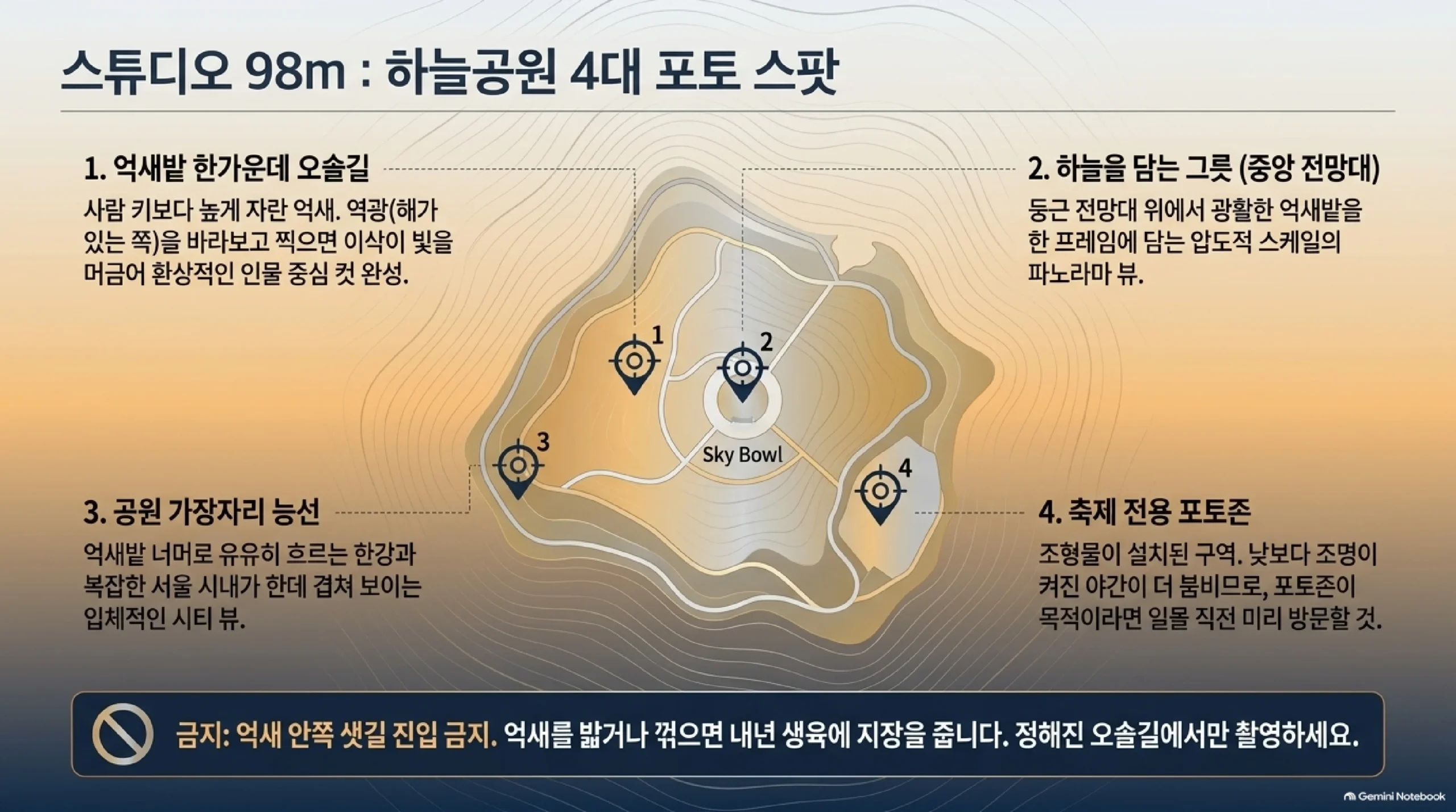 하늘공원 사진 포인트 4곳 — 사람 키보다 높은 억새밭 한가운데 오솔길에서 역광으로 찍기, 둥근 전망대 하늘을 담는 그릇에서 억새밭 전체 내려다보기, 공원 가장자리에서 억새 너머 한강과 서울 시내 겹쳐 찍기, 축제 포토존은 조명 켜지기 전에 먼저 들르고 억새밭 안쪽으로는 들어가지 말라는 안내