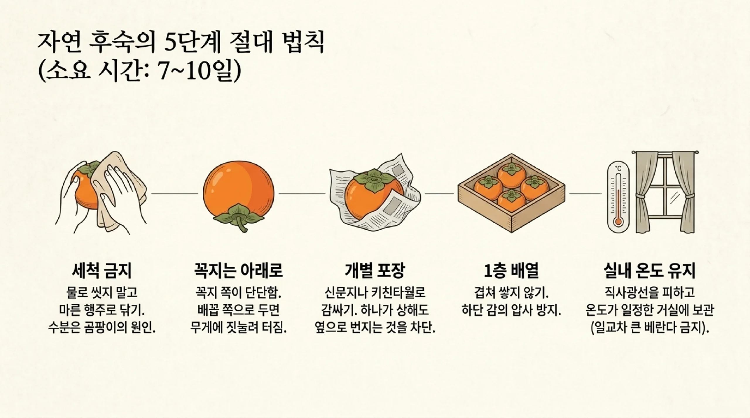 홍시 상온 후숙 다섯 단계 — 물로 씻지 말고 마른 행주로 닦기, 꼭지를 아래로 두기, 신문지나 키친타월로 하나씩 감싸기, 상자에 한 층으로 담기, 직사광선 없이 온도가 일정한 실내에 두기, 소요 기간 7~10일