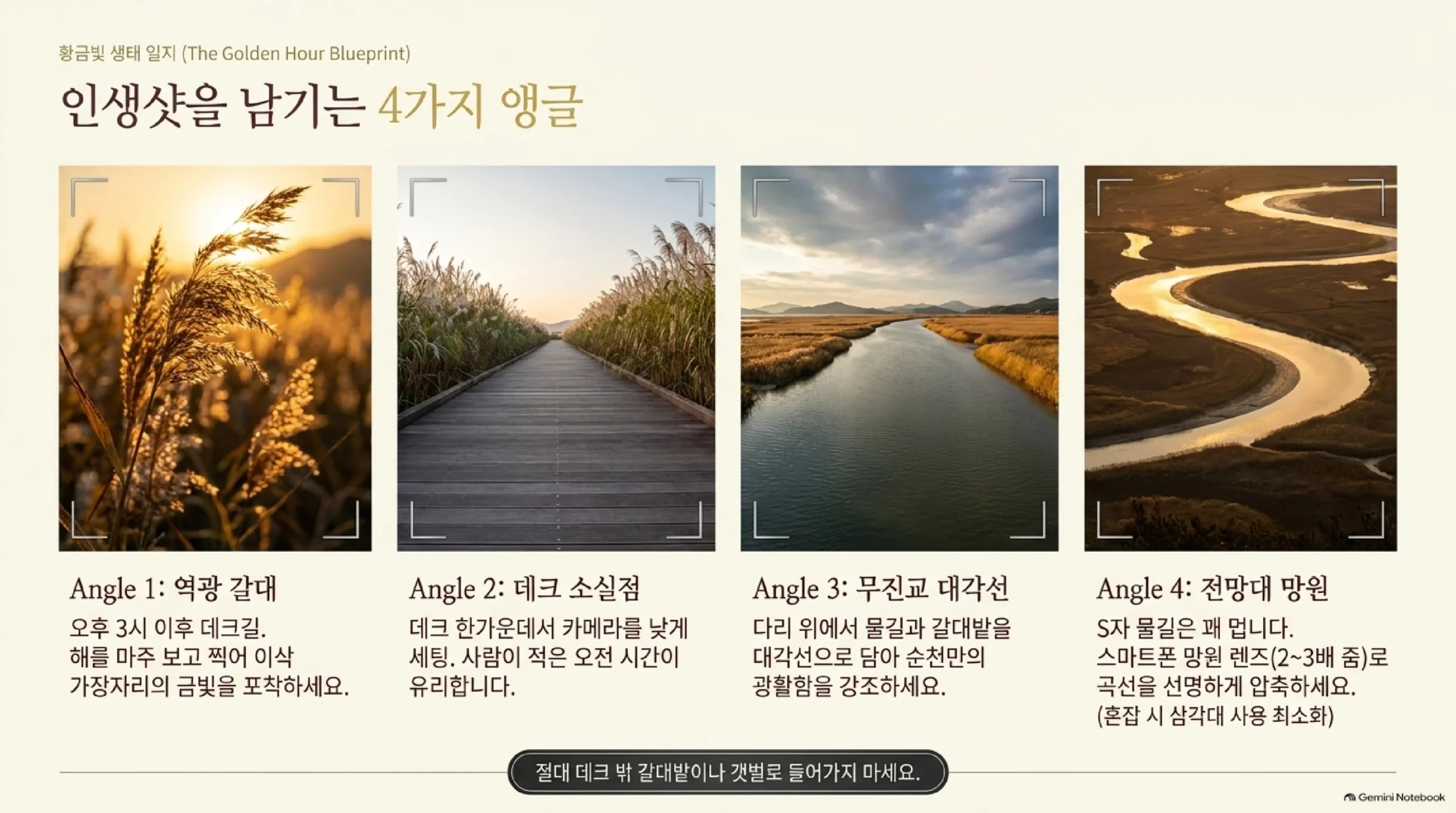순천만 갈대숲 사진 앵글 4가지 — 오후 3시 이후 해를 마주 보고 찍는 역광 갈대, 데크 한가운데서 카메라를 낮춘 소실점, 무진교 위에서 물길과 갈대밭을 대각선으로 담기, 전망대에서 휴대폰 망원 2~3배로 S자 물길 압축하기와 데크 밖으로 들어가지 말라는 주의