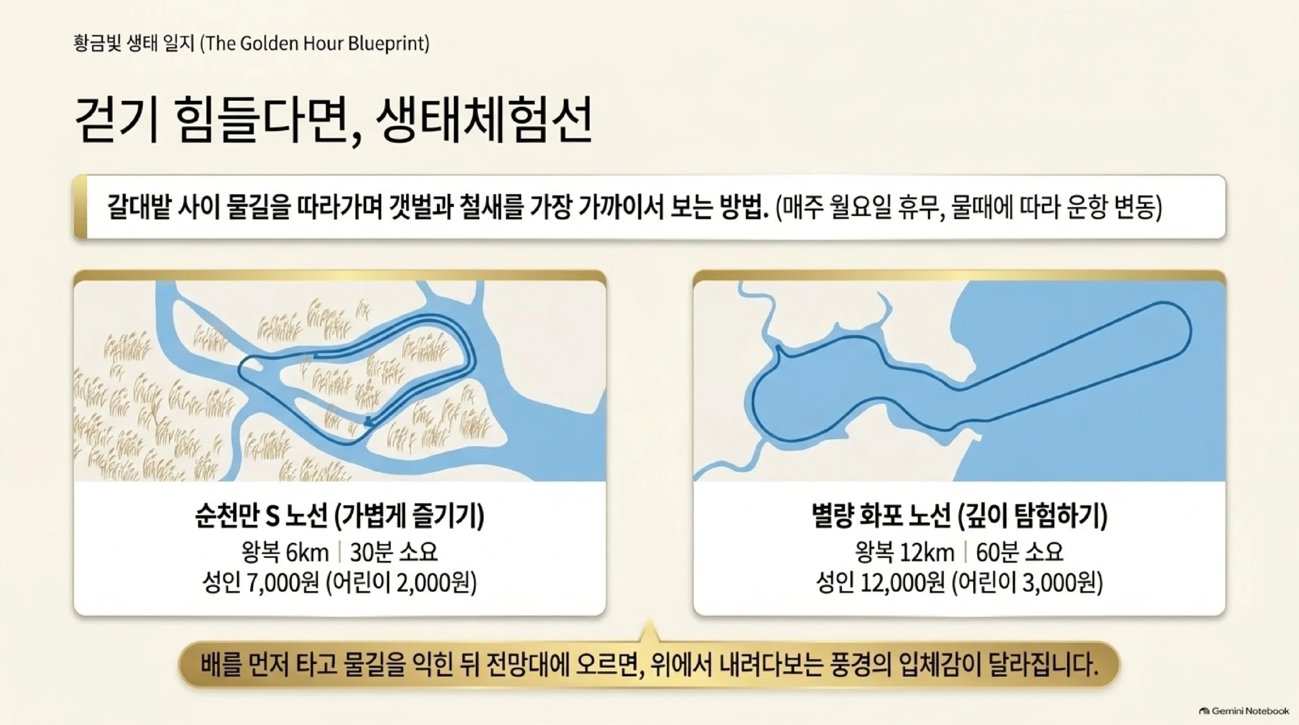 순천만 생태체험선 두 노선 — 순천만 S 노선은 왕복 6km 30분 성인 7,000원, 별량 화포 노선은 왕복 12km 60분 성인 12,000원이며 매주 월요일 쉬고 물때에 따라 운항이 바뀌고, 배를 먼저 타고 전망대에 오르면 풍경이 더 입체적으로 보인다는 안내